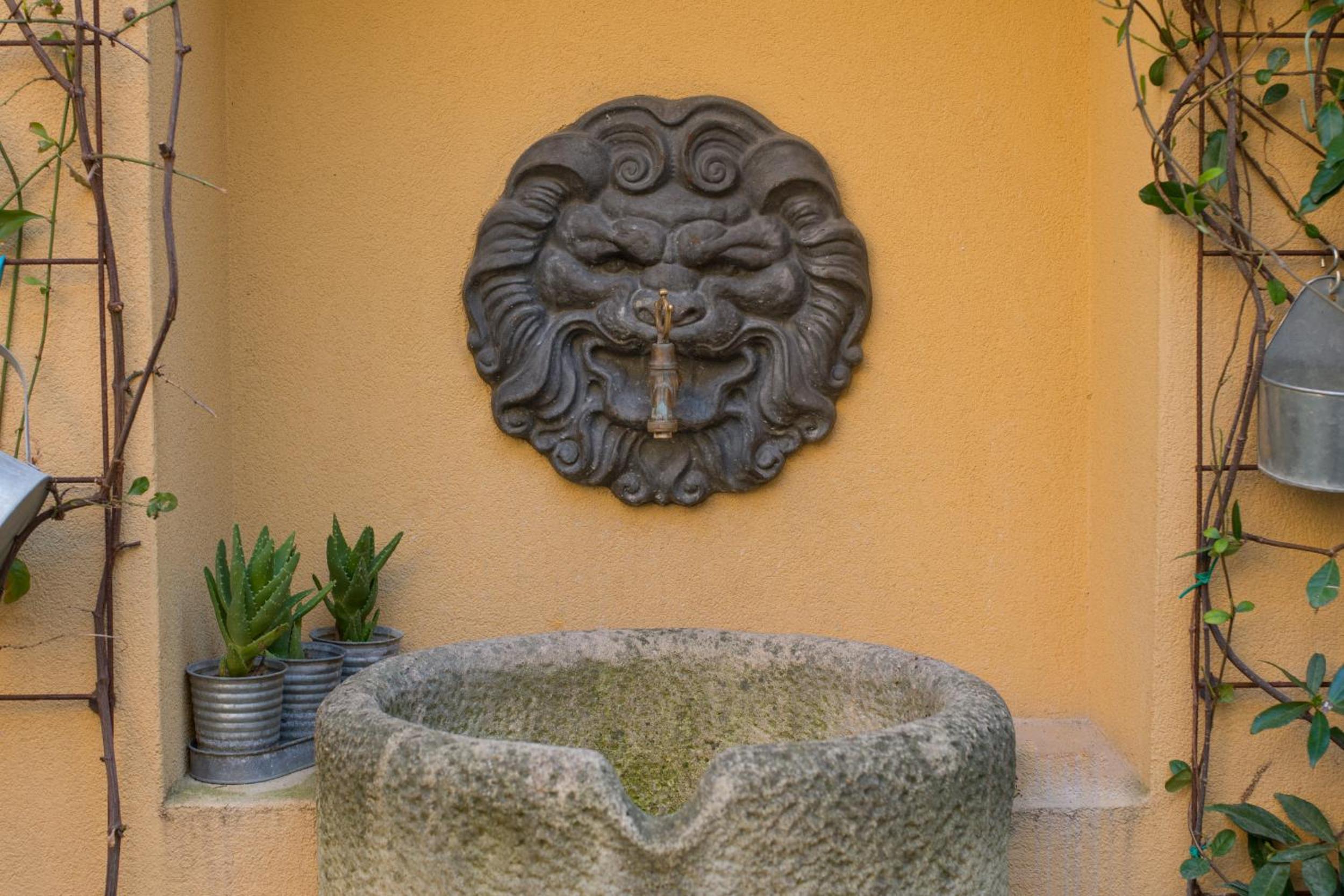 La Corte di Zizi