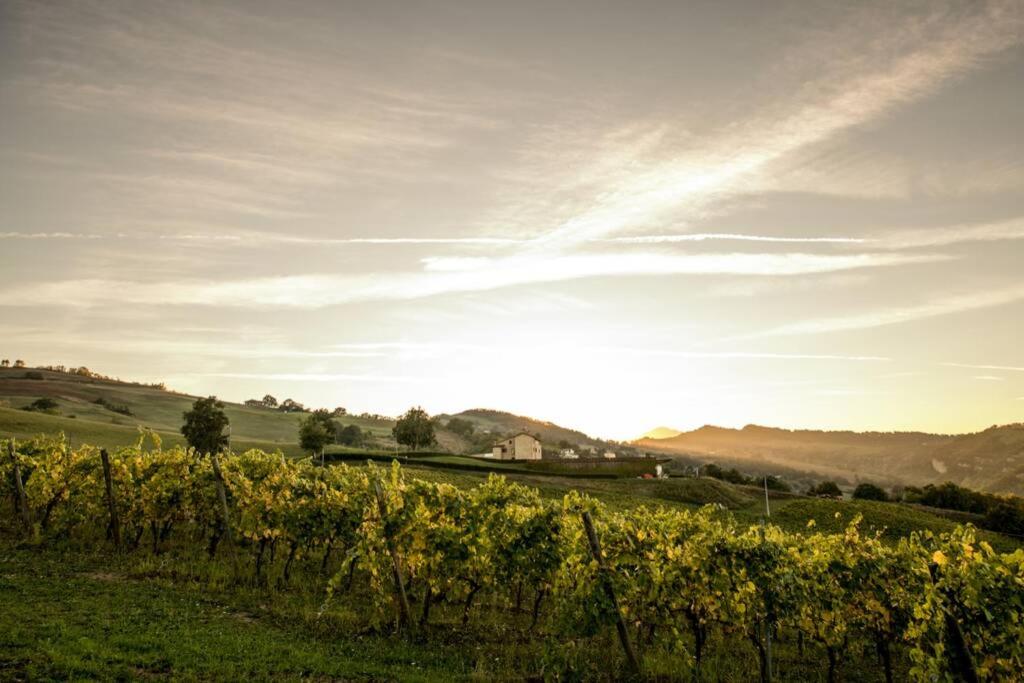 La Casa Vacanza con vista panoramica sui vigneti view 3