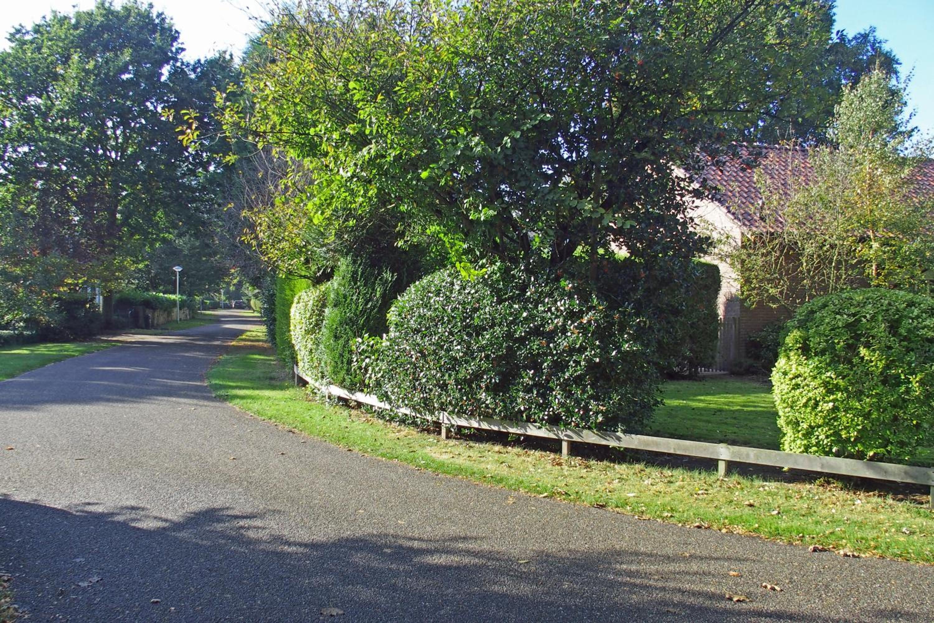 Photo 40