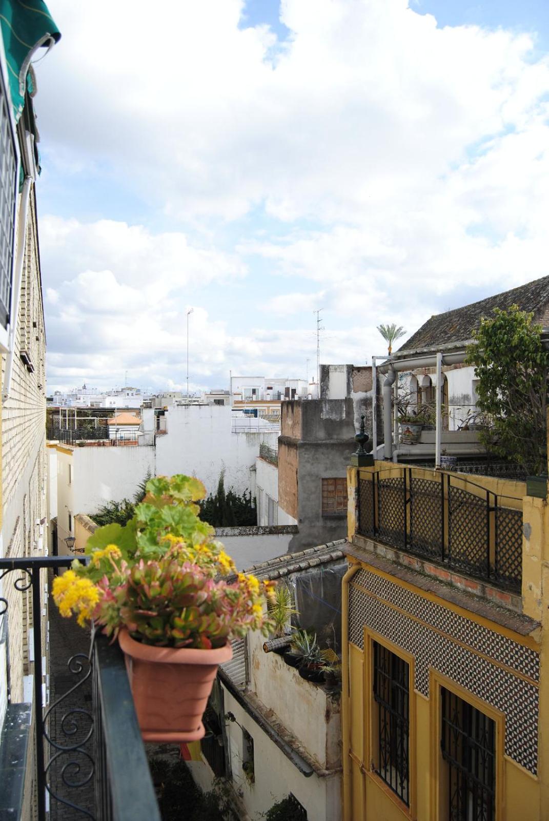 Sevilla Centro Histórico Cerca Estación AVE view 5