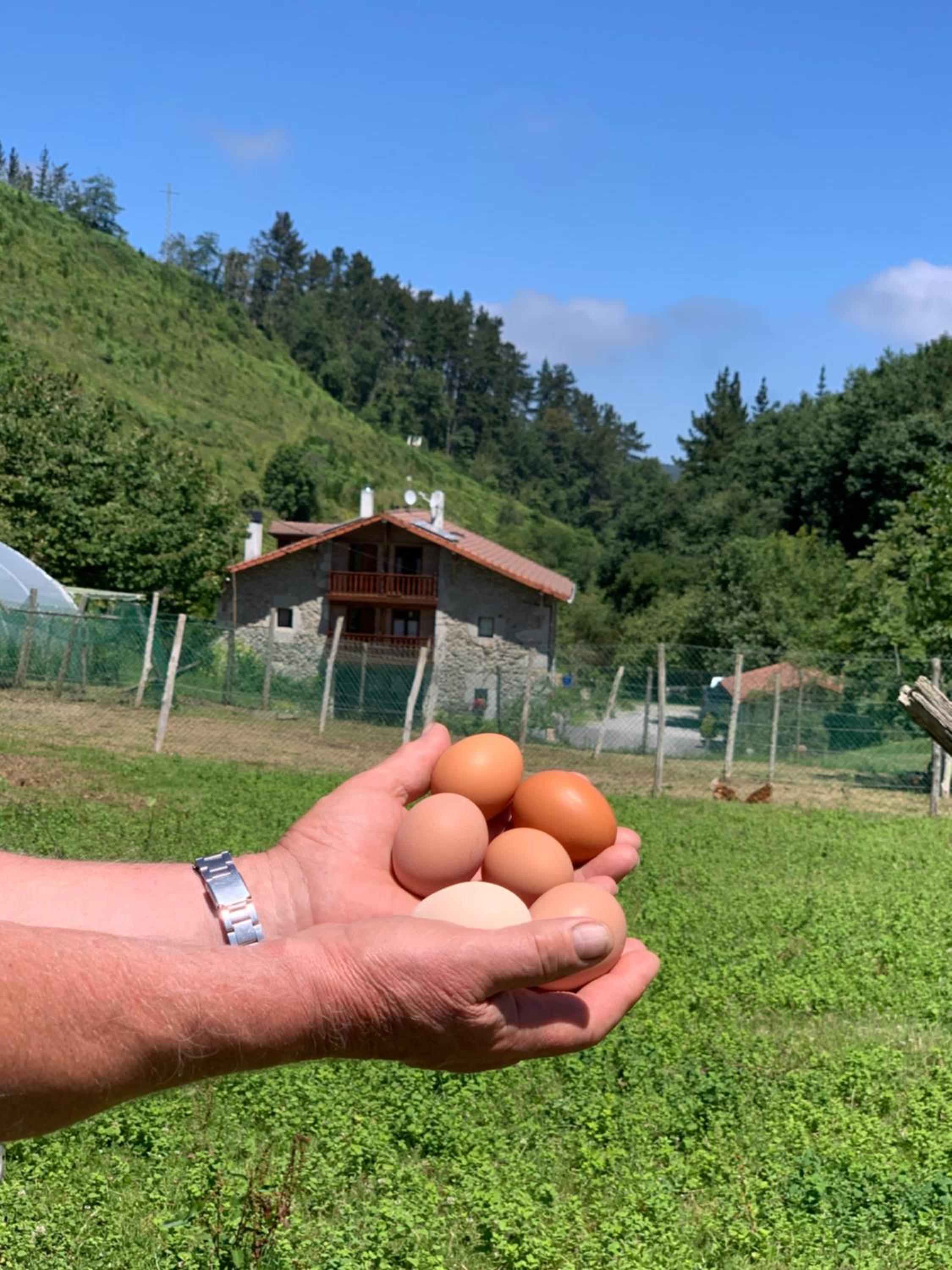 Agroturismo Urresti