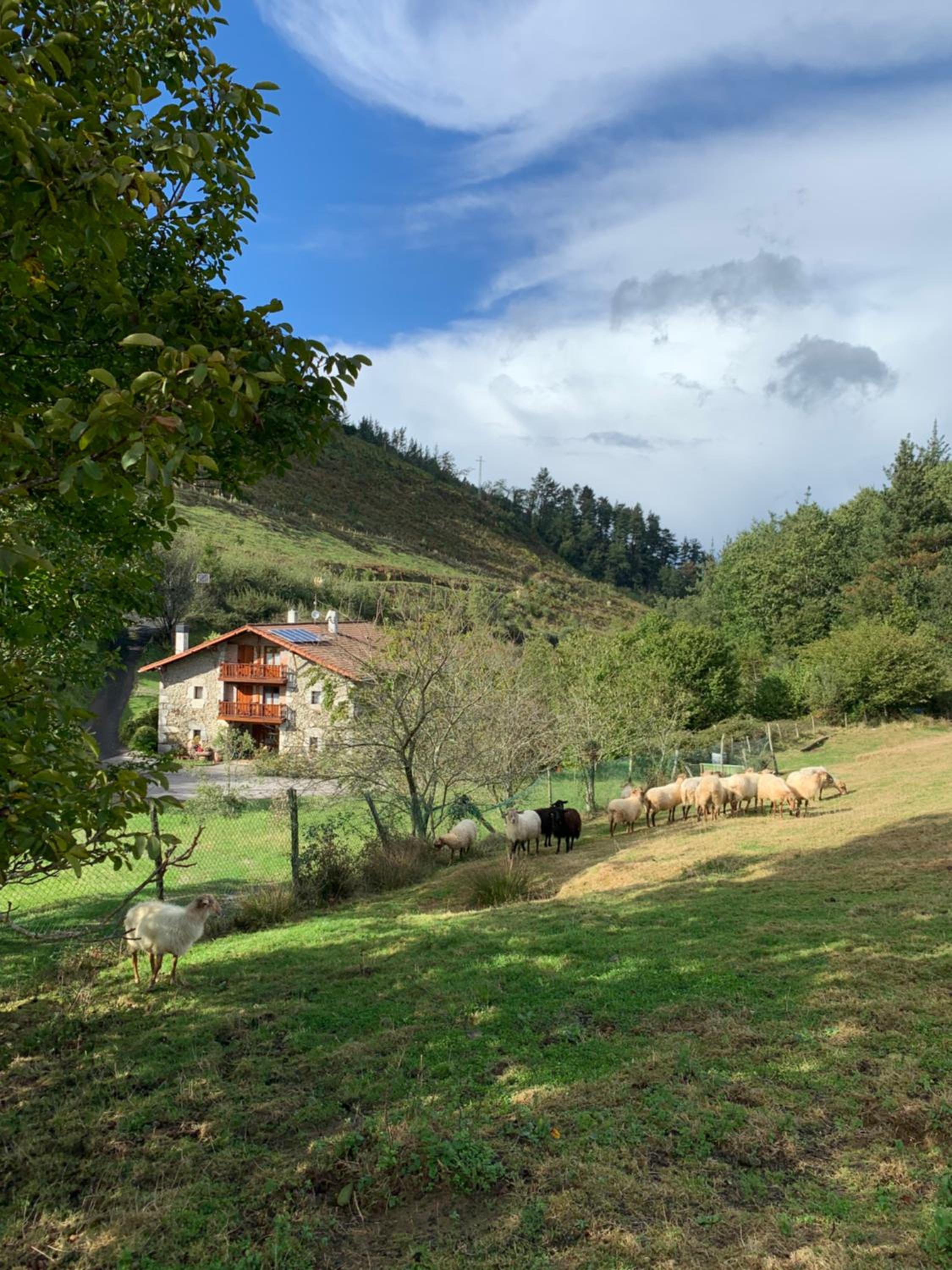 Agroturismo Urresti