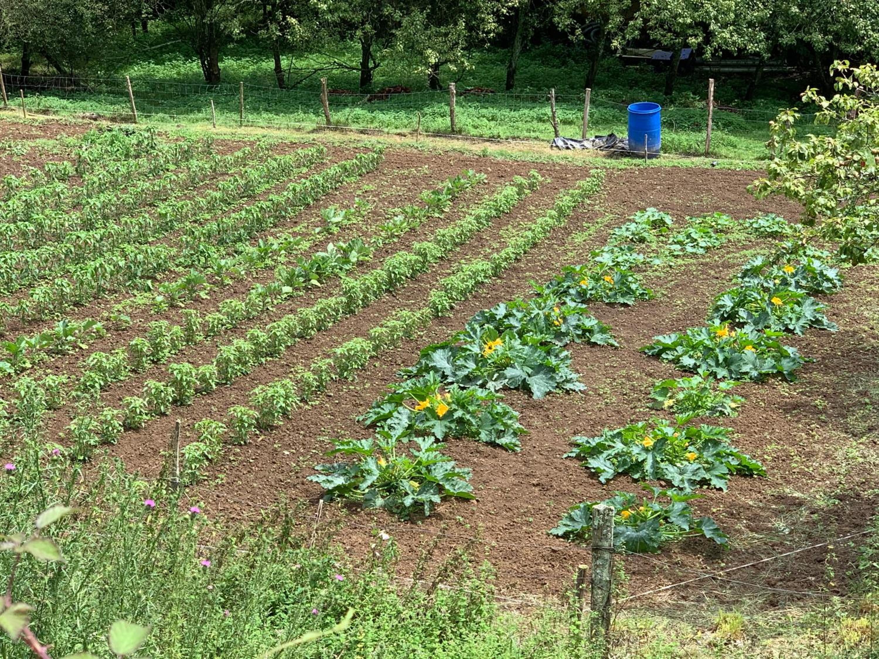 Agroturismo Urresti