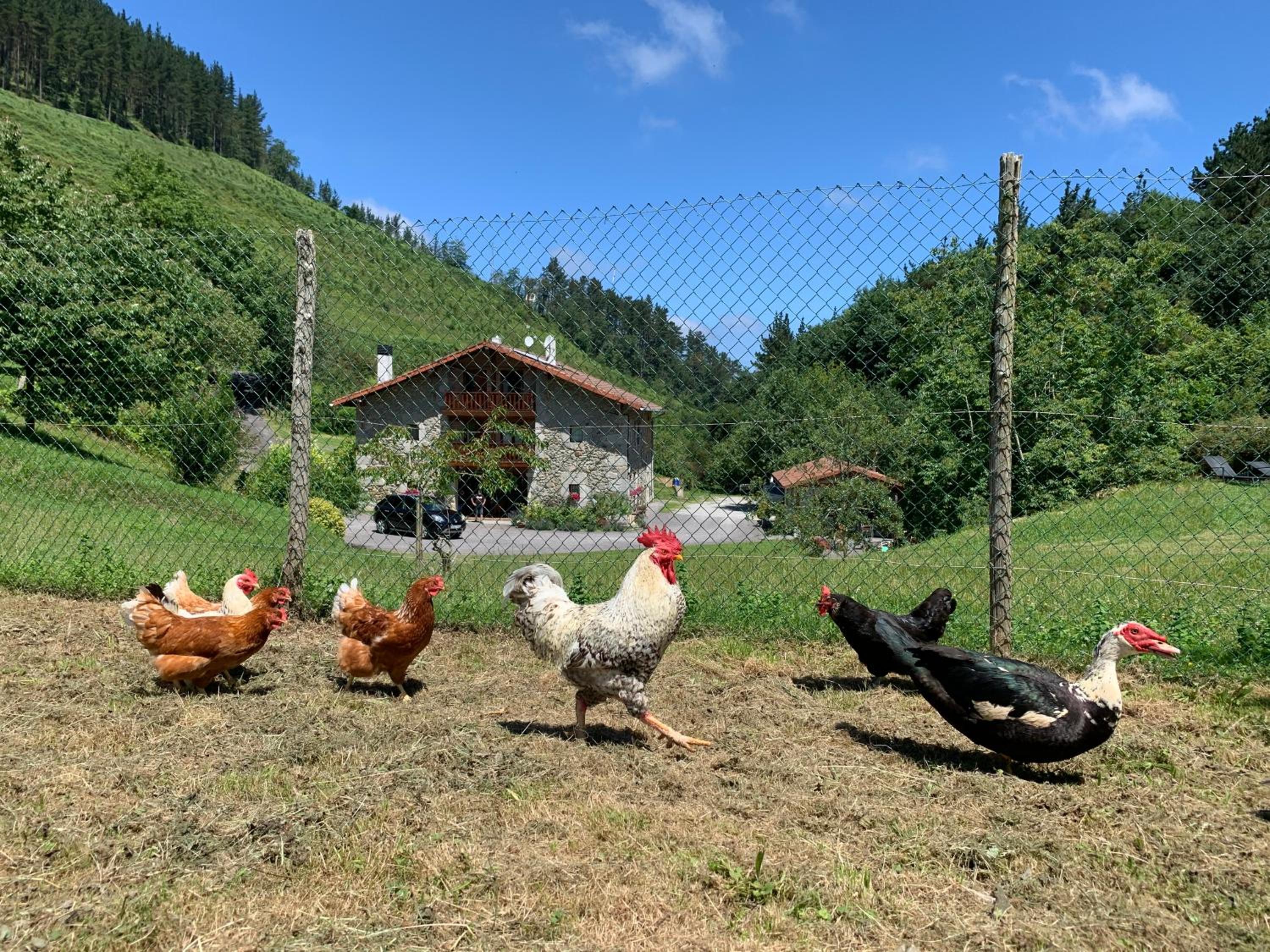 Agroturismo Urresti