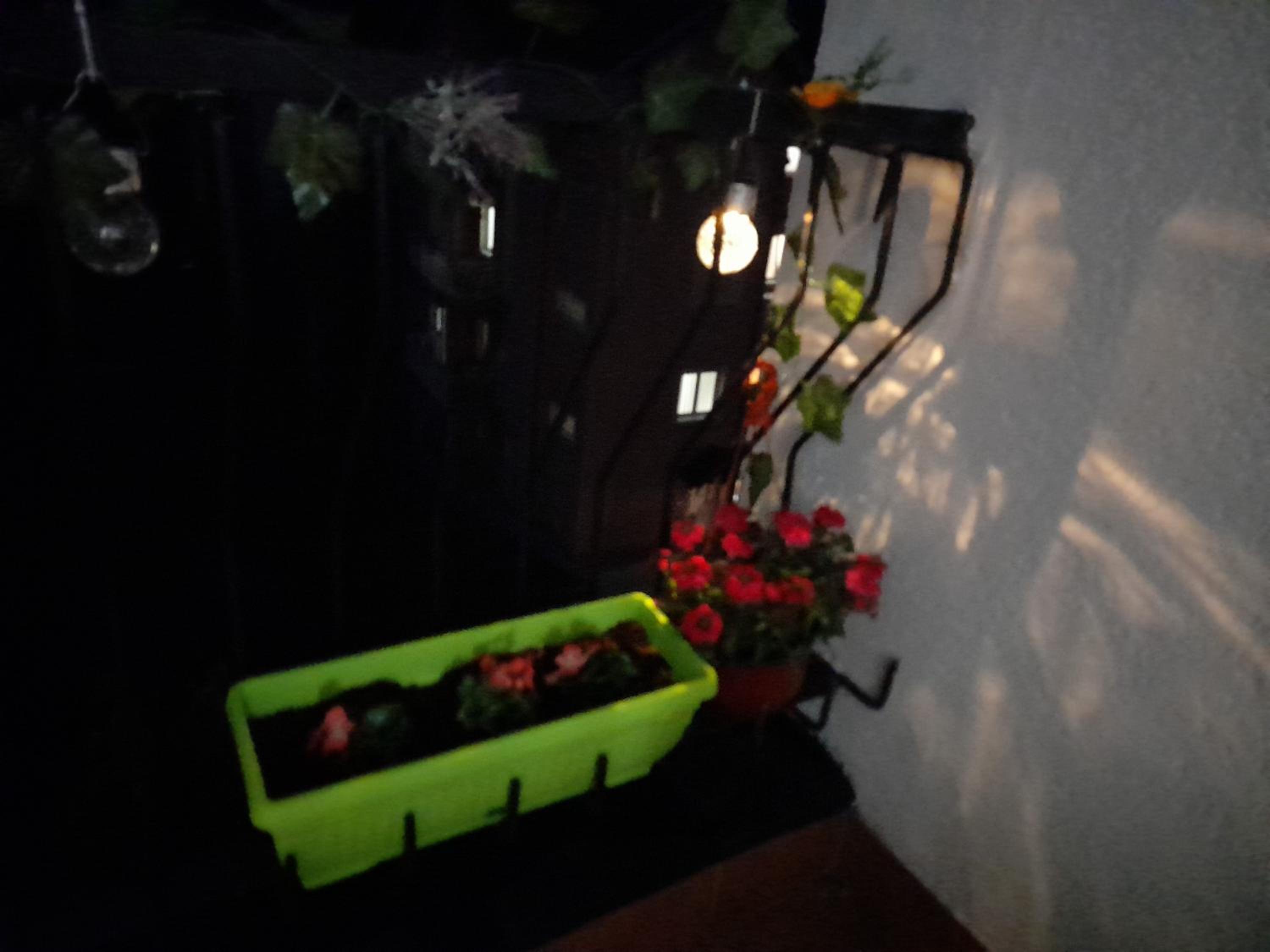 Photo 42