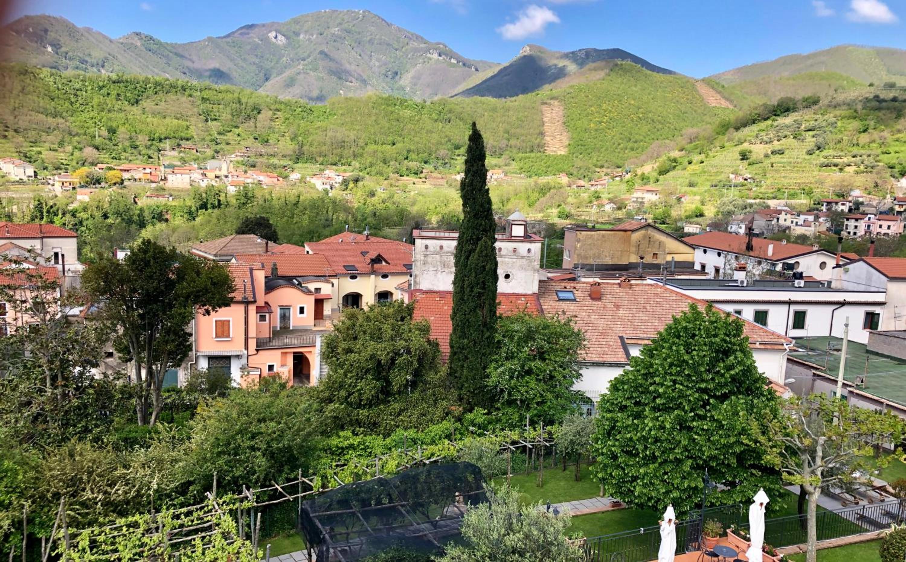 Farfalle E Gabbiani photo 4