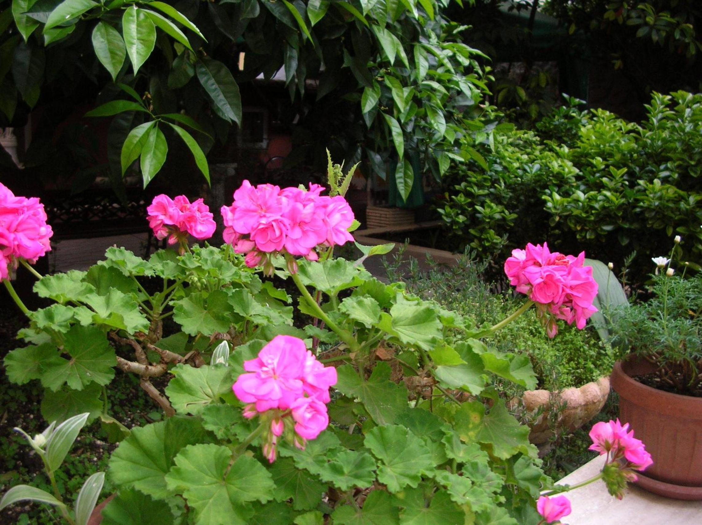 Gioia Guest House