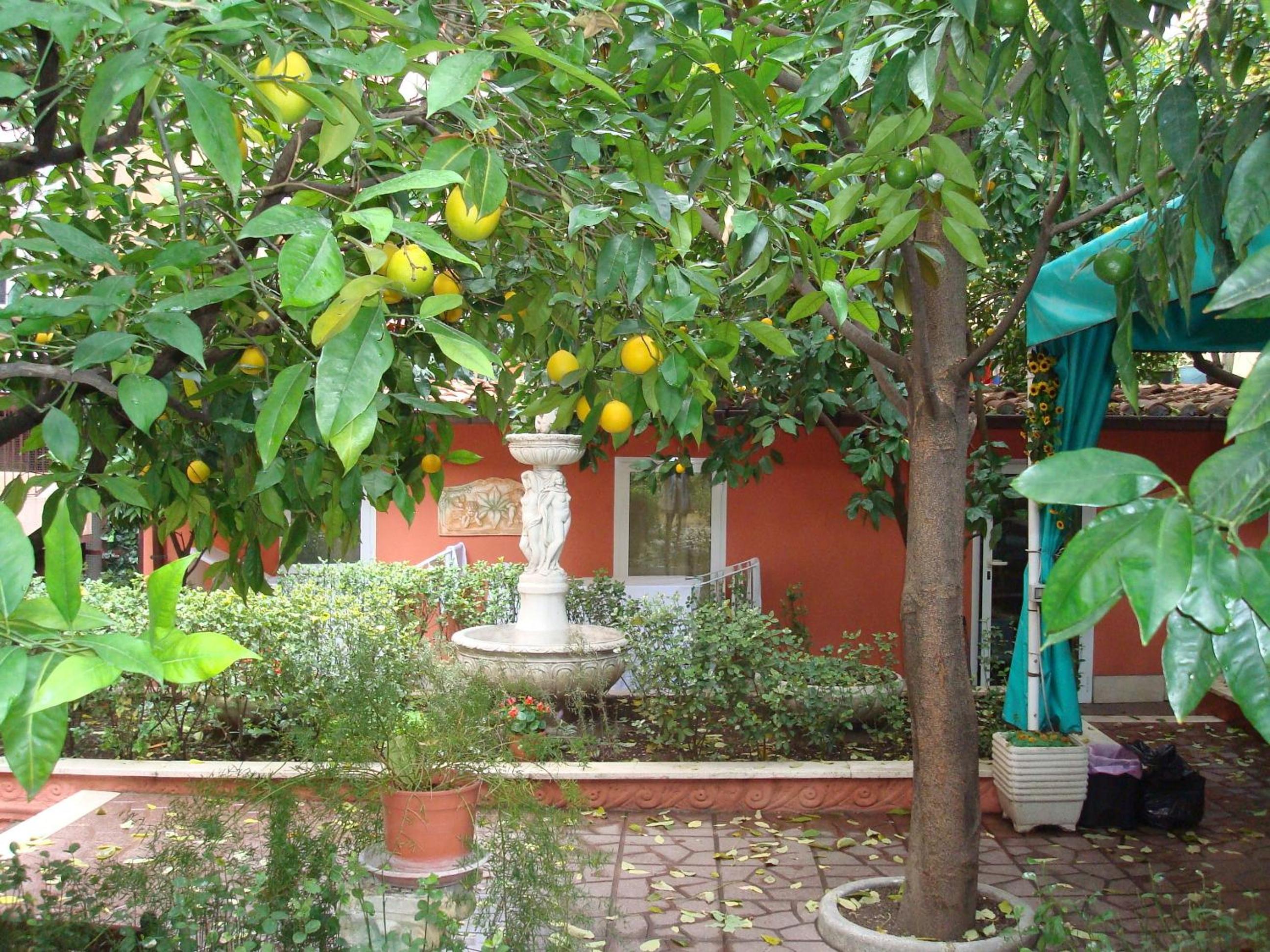 Gioia Guest House