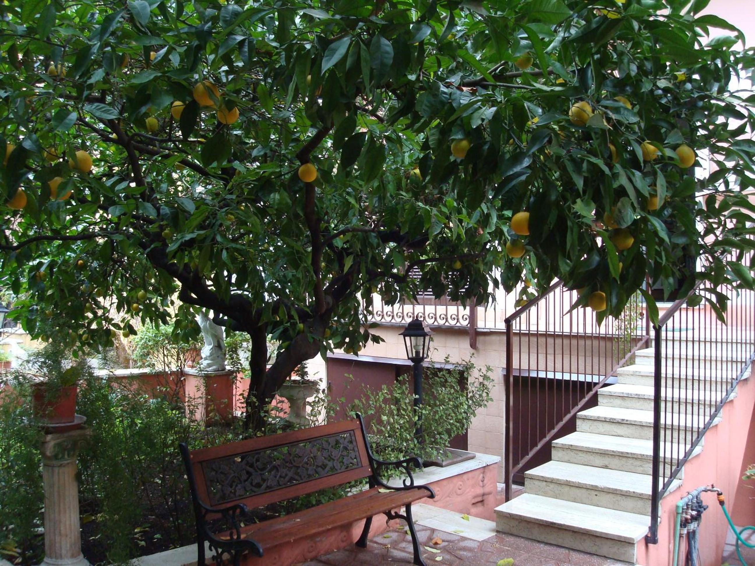 Gioia Guest House