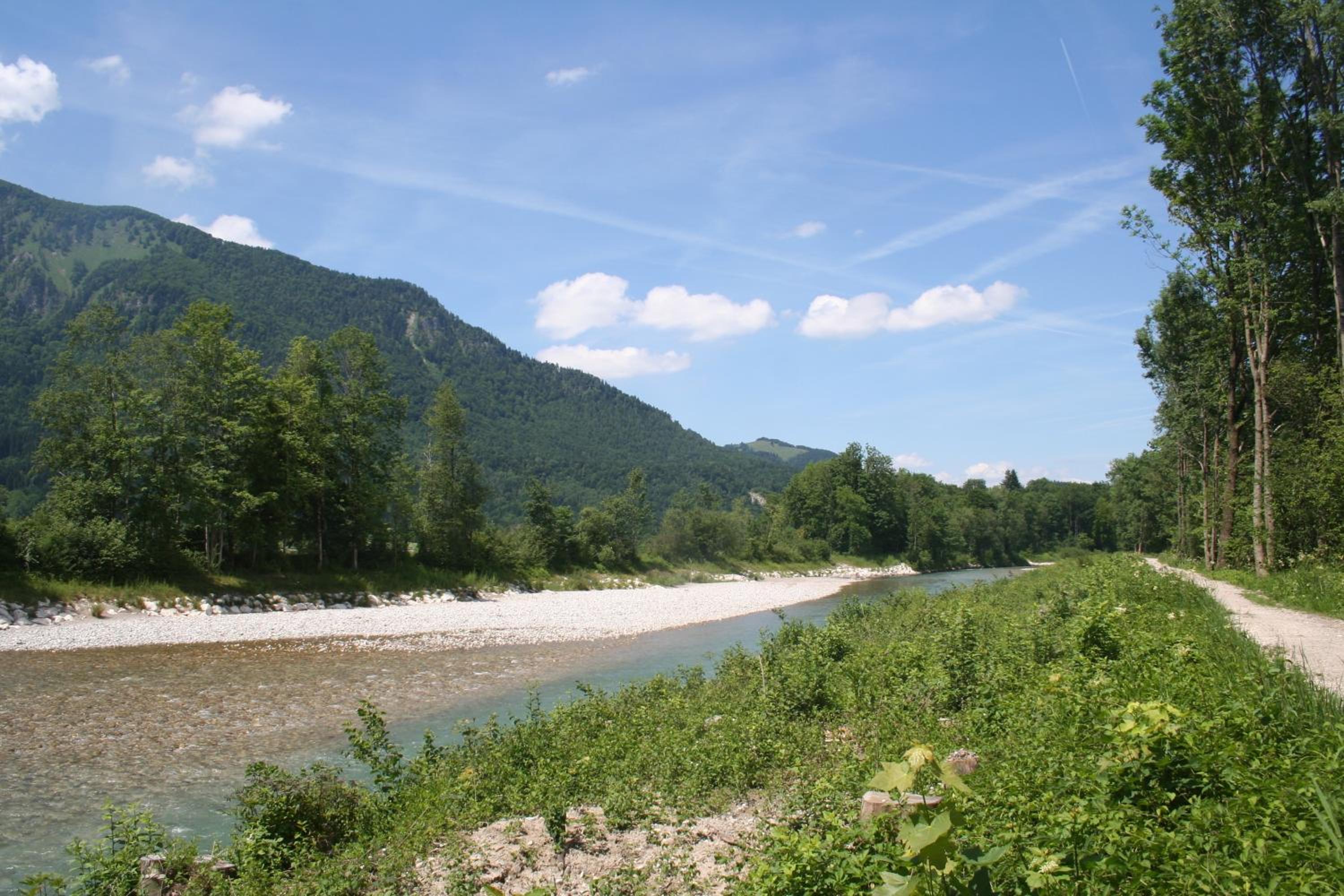 Photo 42