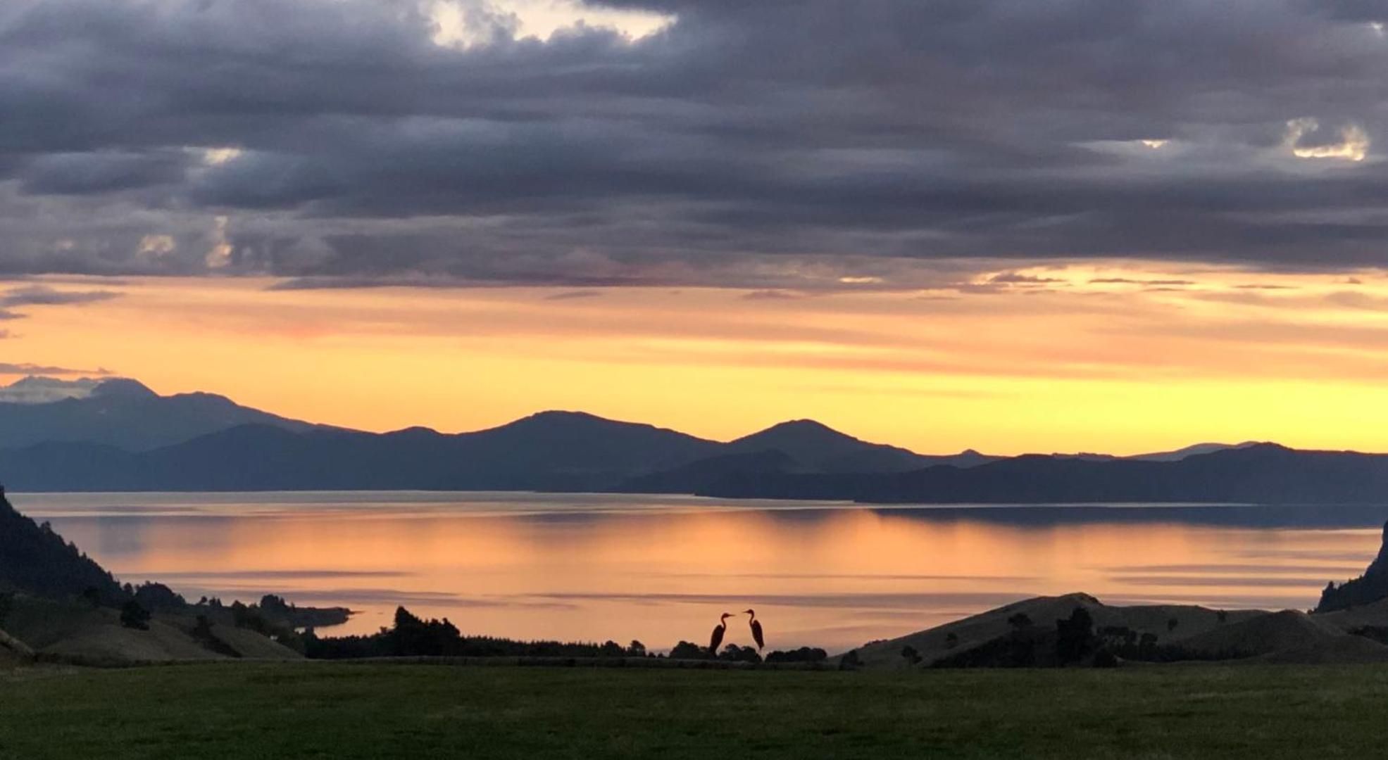 Hotel Hilltop Whakaipo Estate - Image 1