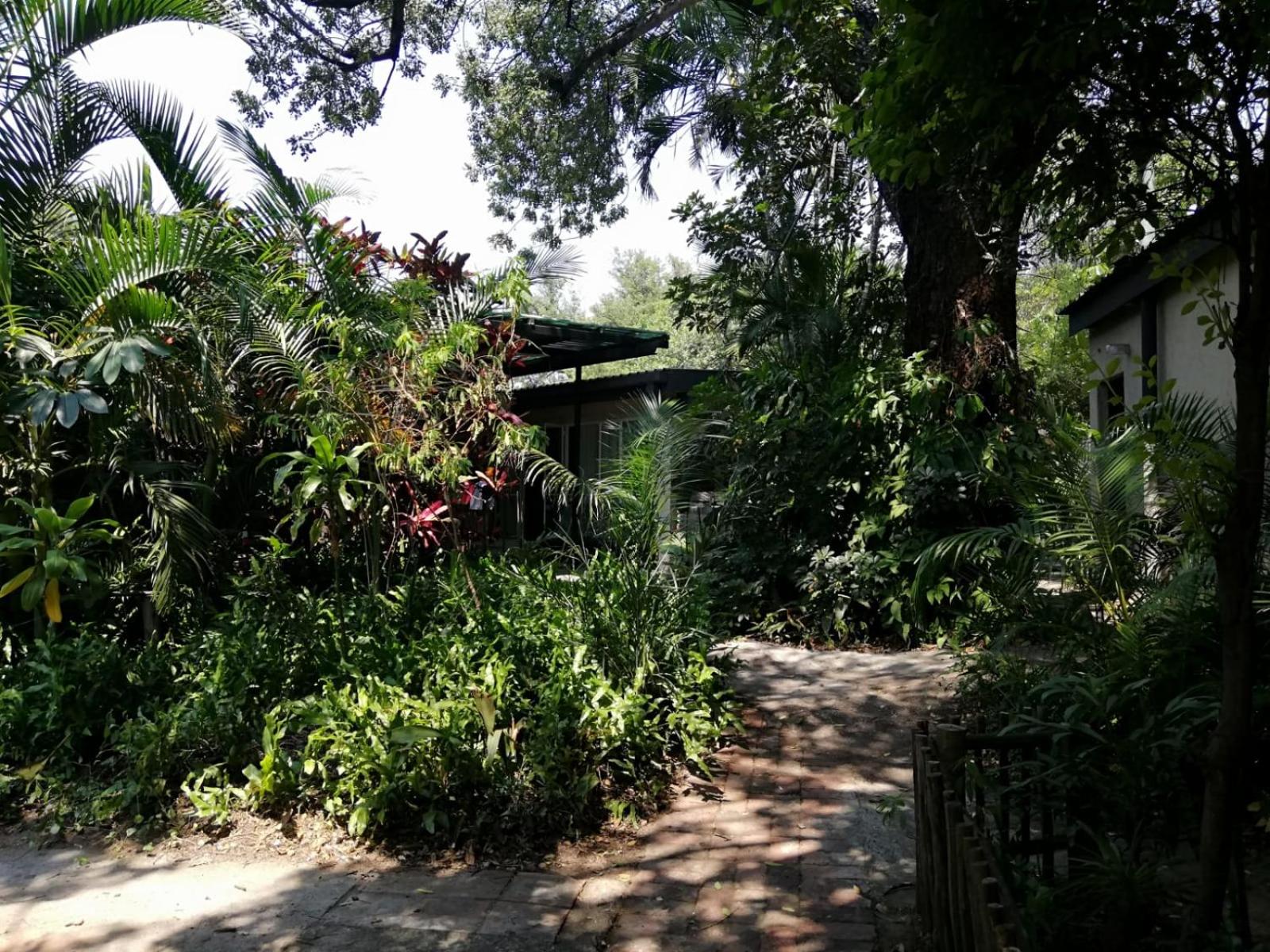 Elephant Walk Guesthouse and Back Packers view 5