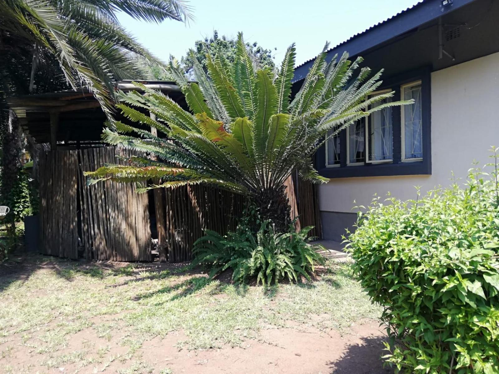 Photo 13
