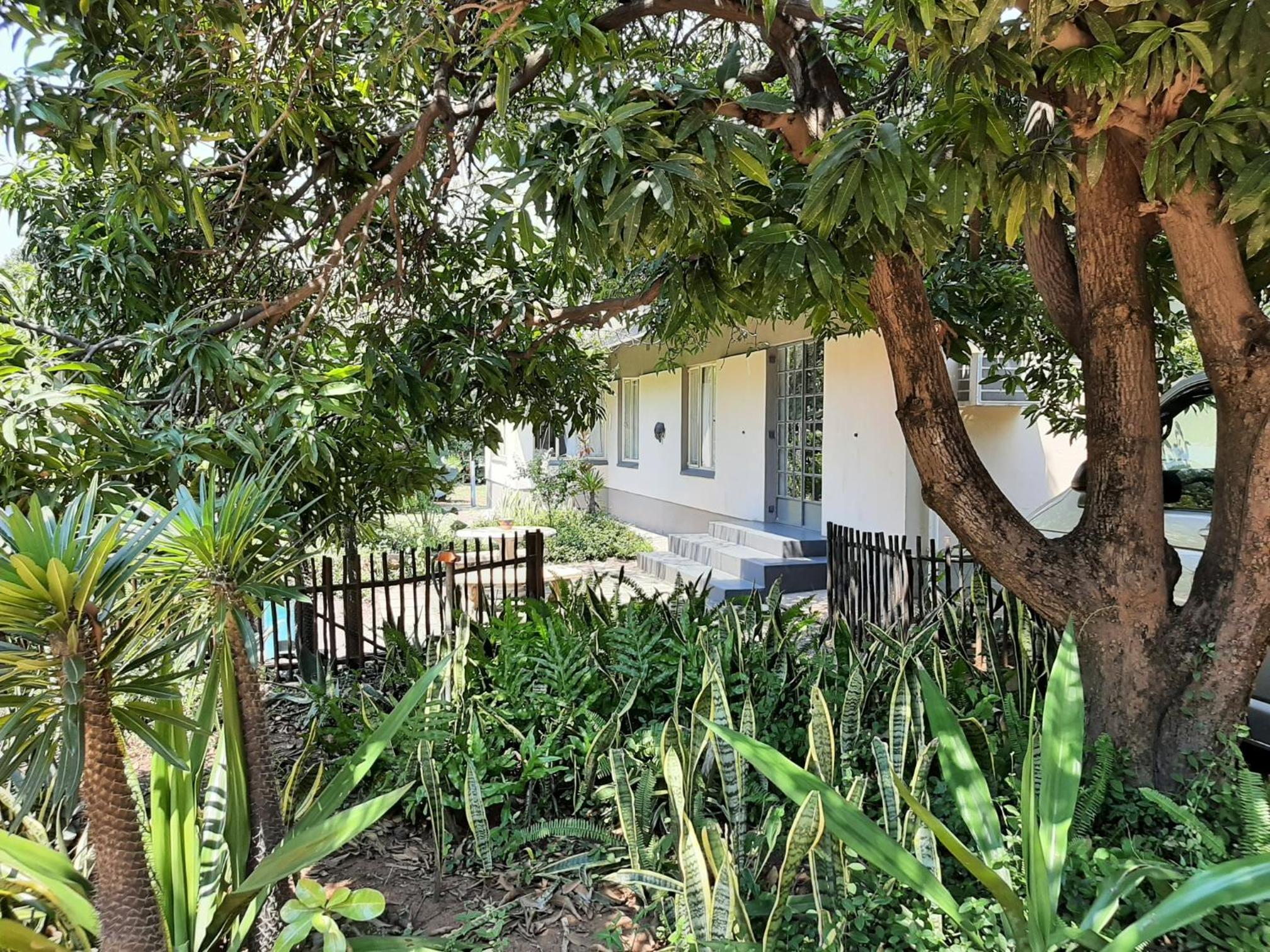 Elephant Walk Guesthouse and Back Packers view 3