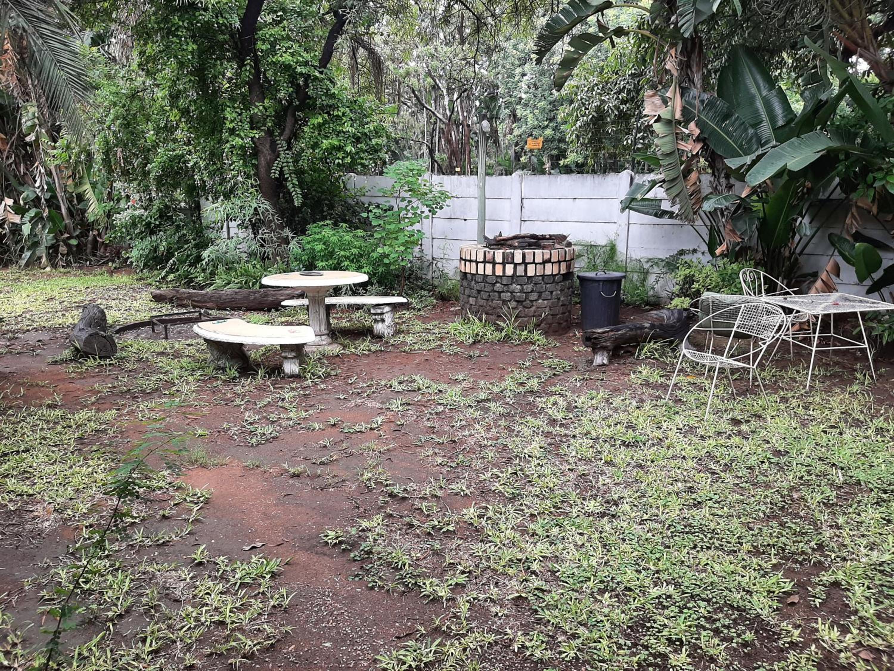 Photo 12