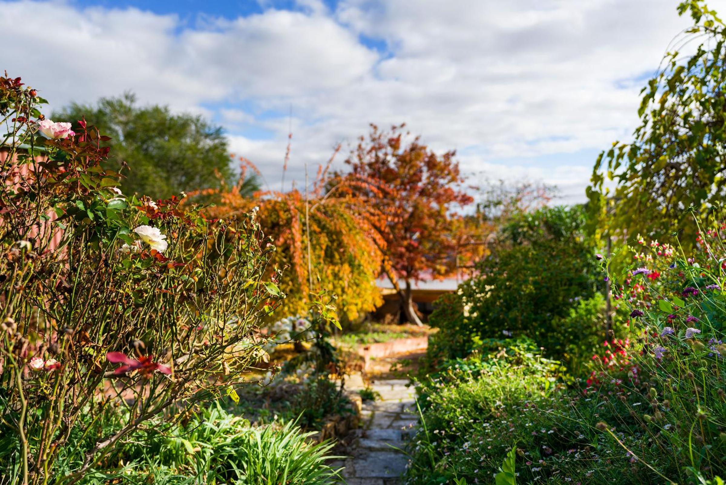 The Greenery