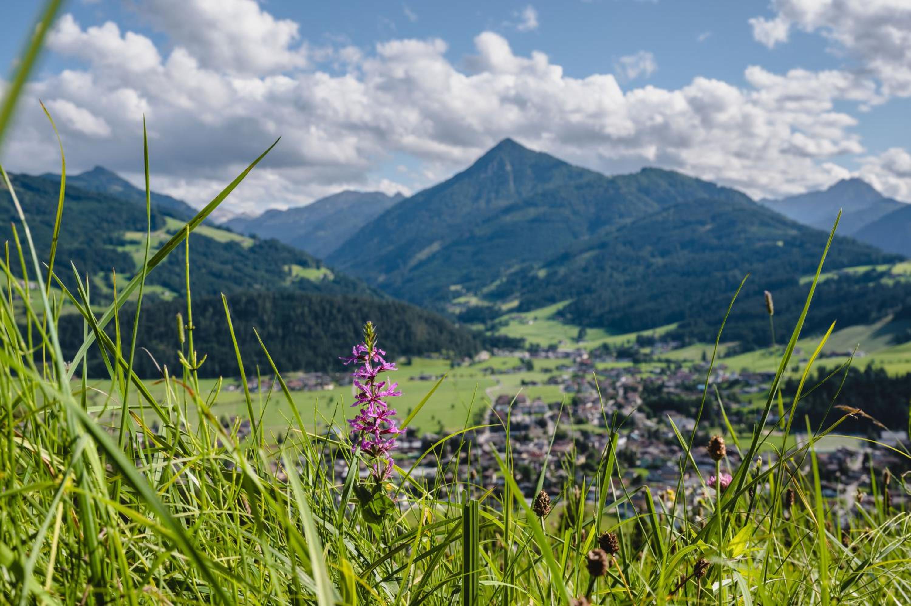 Appartement Eckwald Altenmarkt-Zauchensee