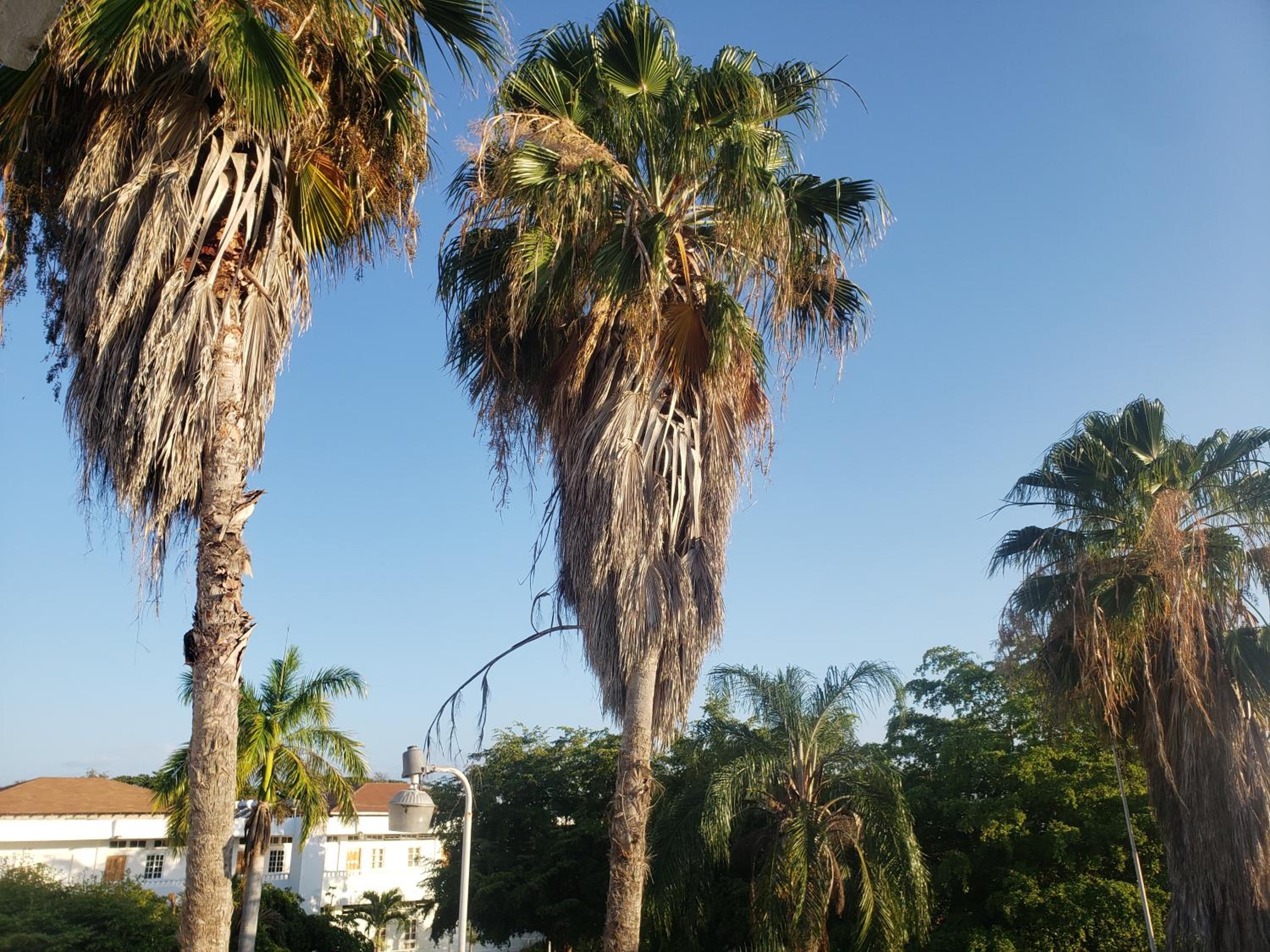 Photo 44