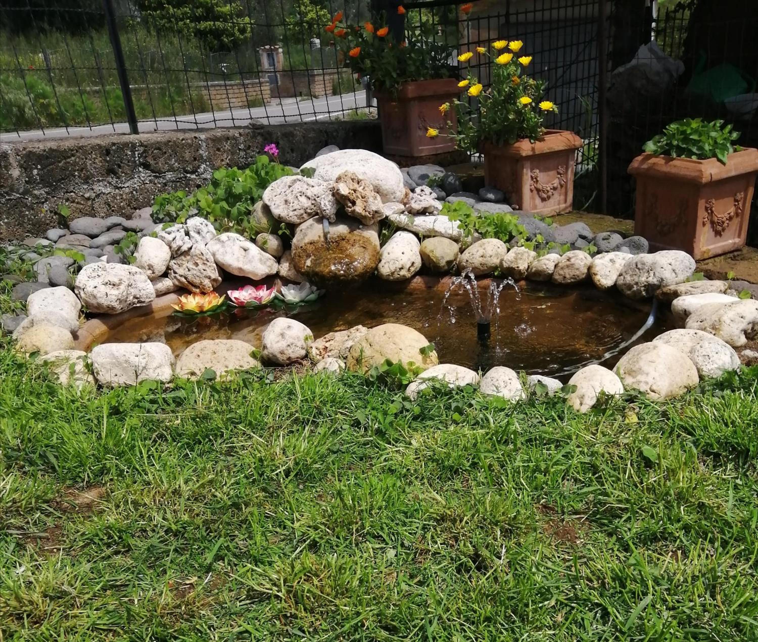 Photo 53