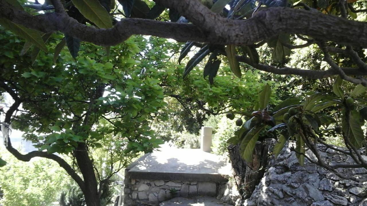 Photo 36