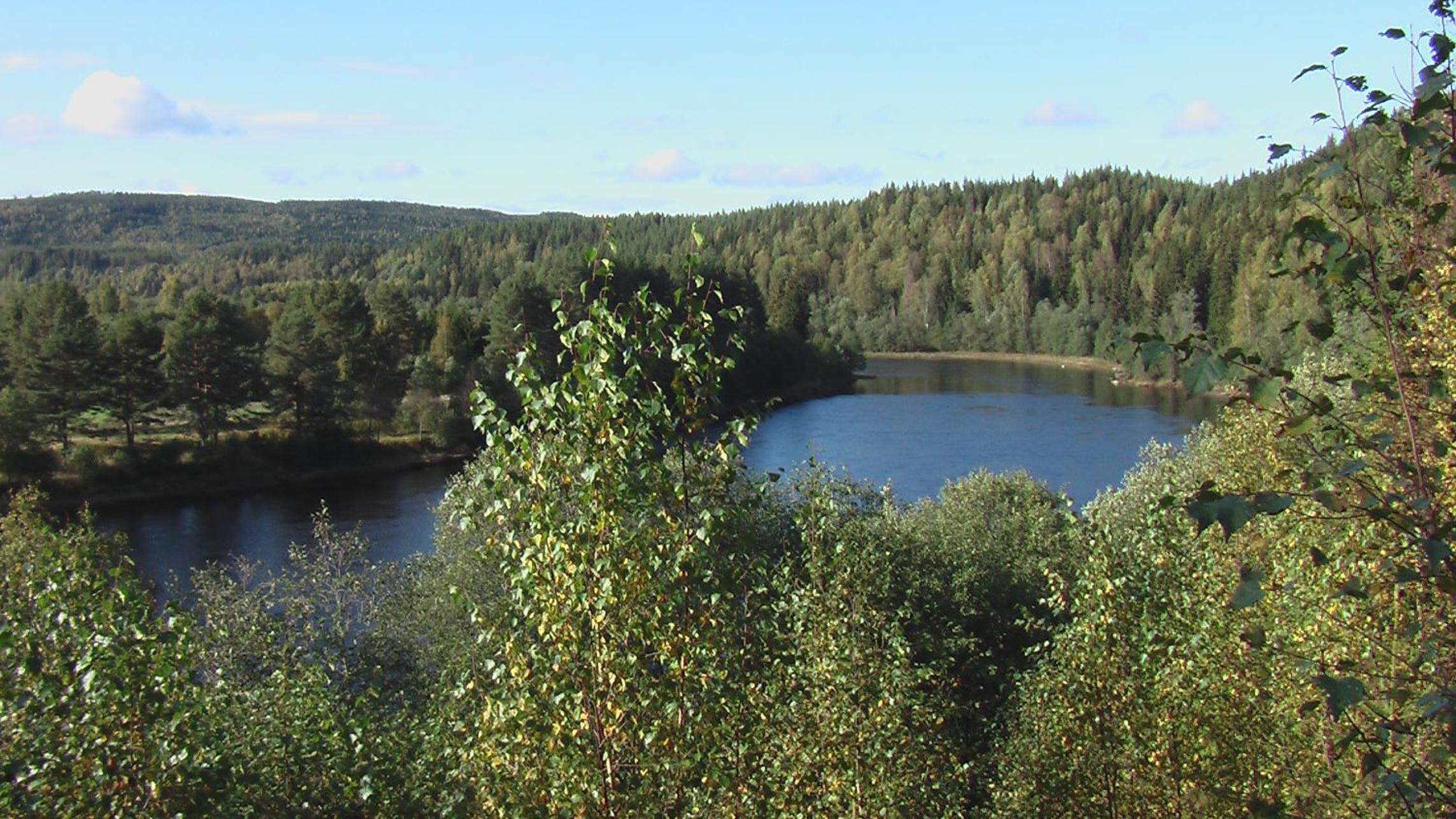 Photo 28