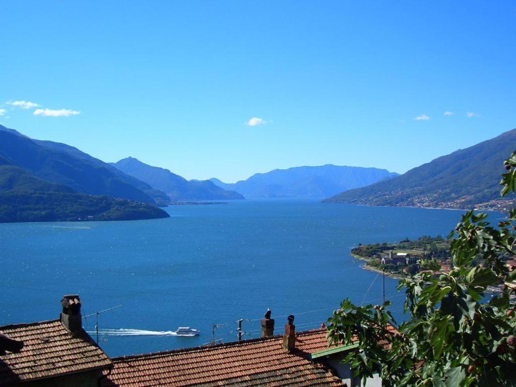 Rosato view 2