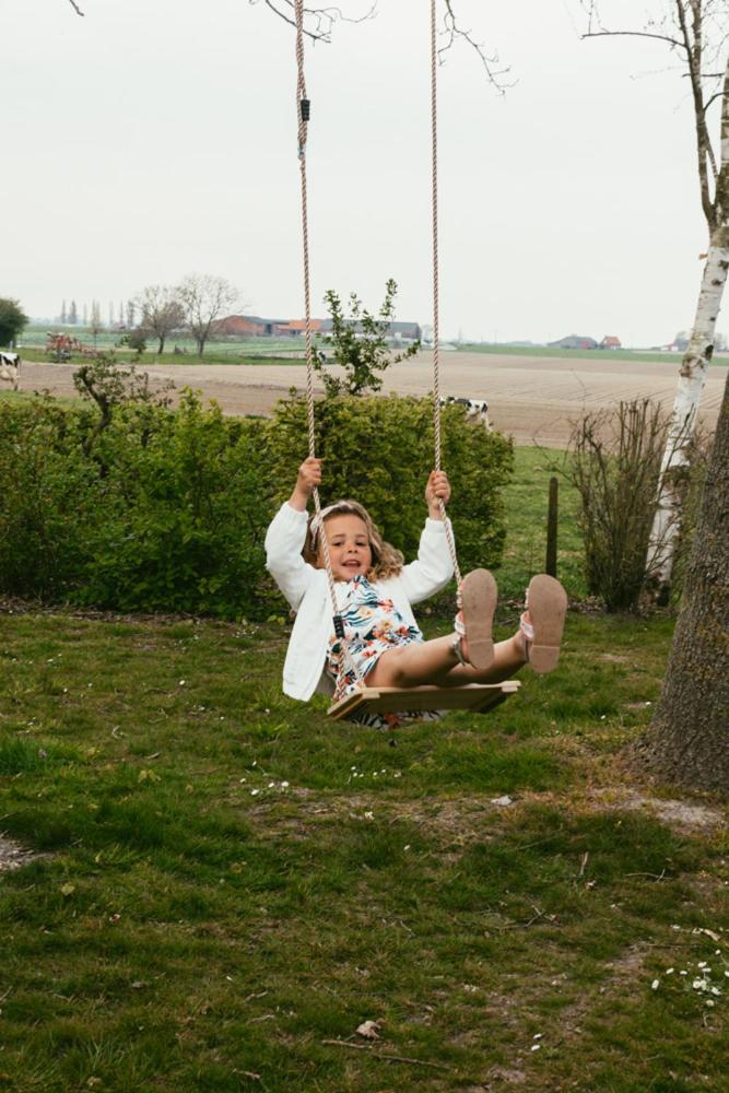 de Flyboys