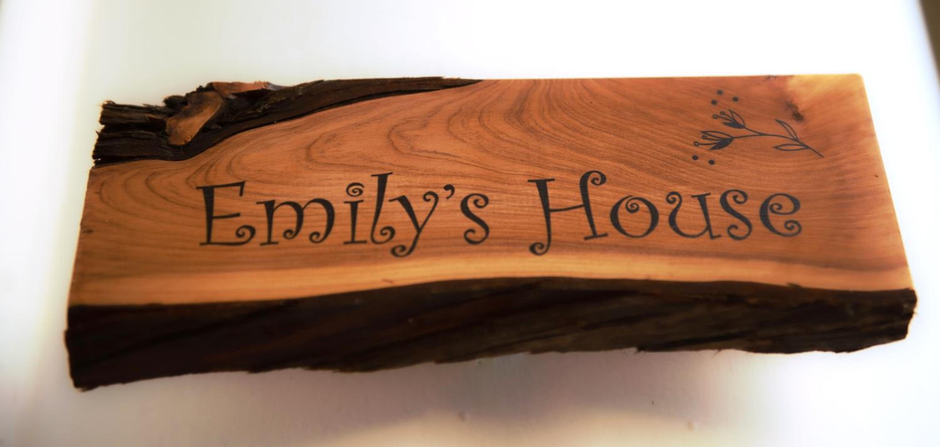 Emily's House photo 4