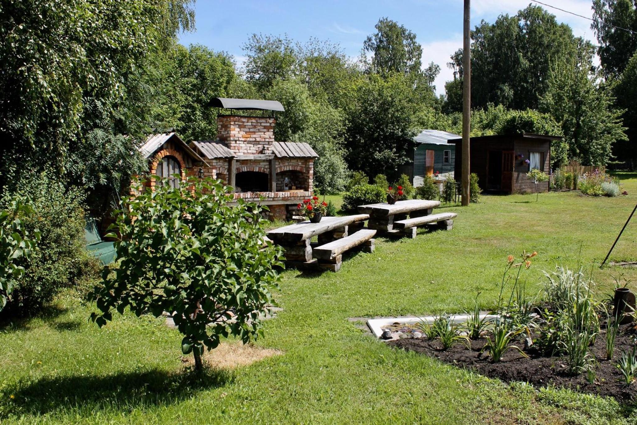 Photo 11