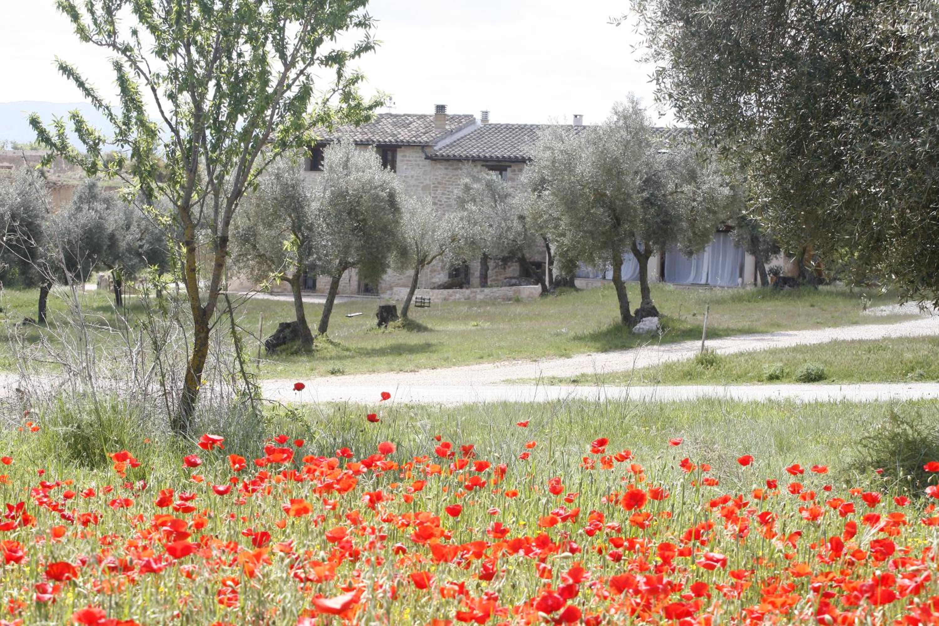 Hort de L'Aubert view 4