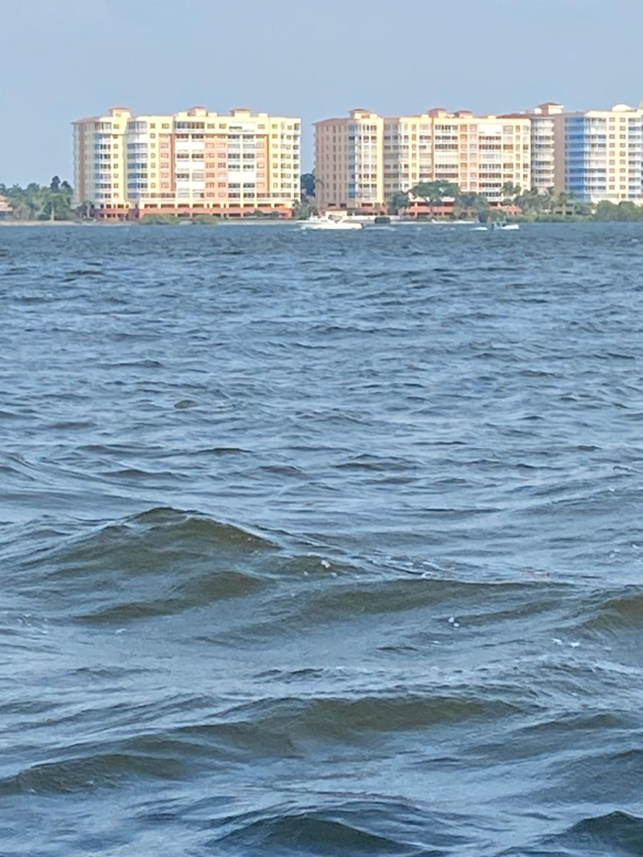 Hotel This Homestay Oasis Is The Cape's Best Place To Stay