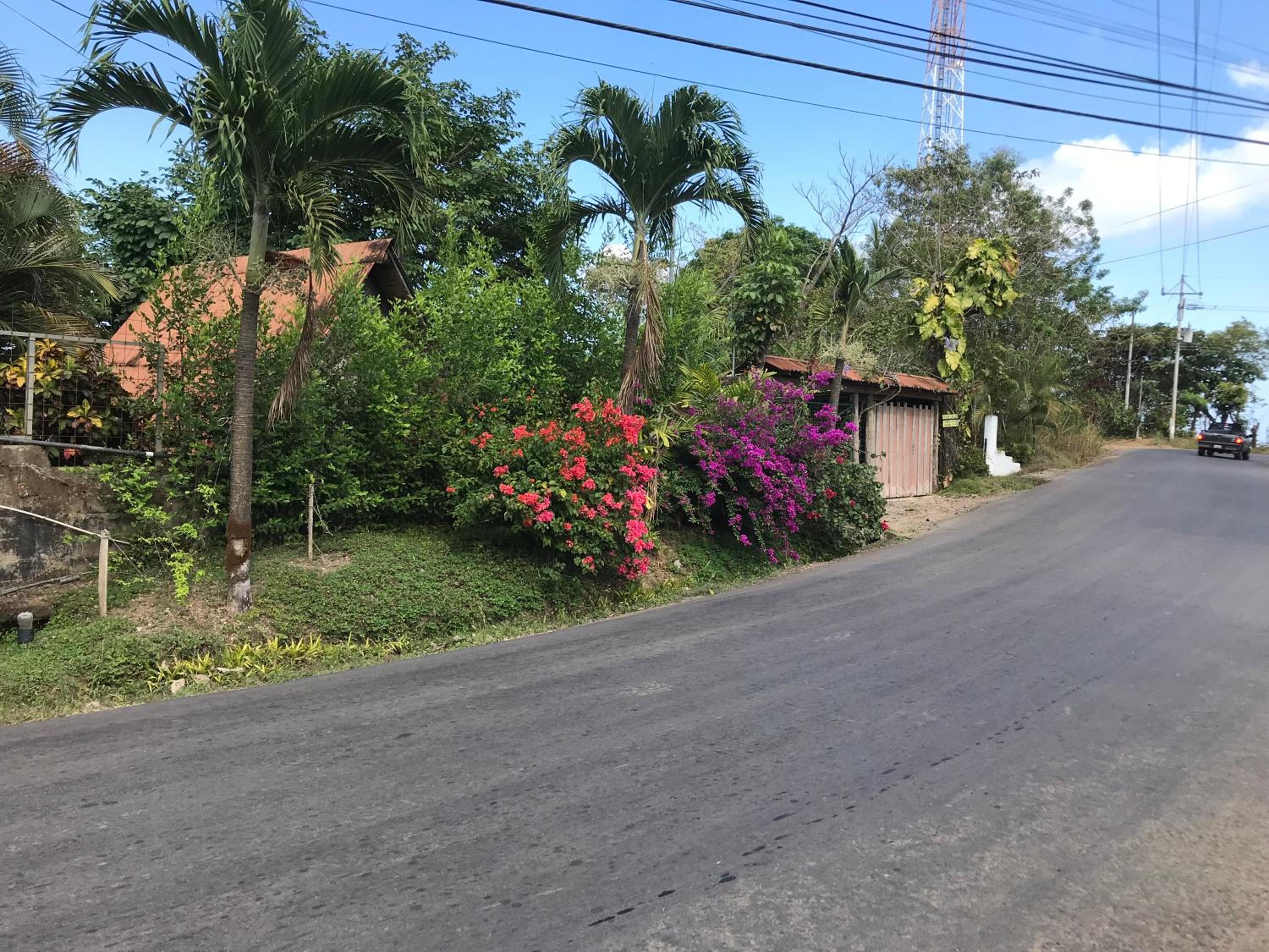 FLOR DE PARAISO BUNGALOWS