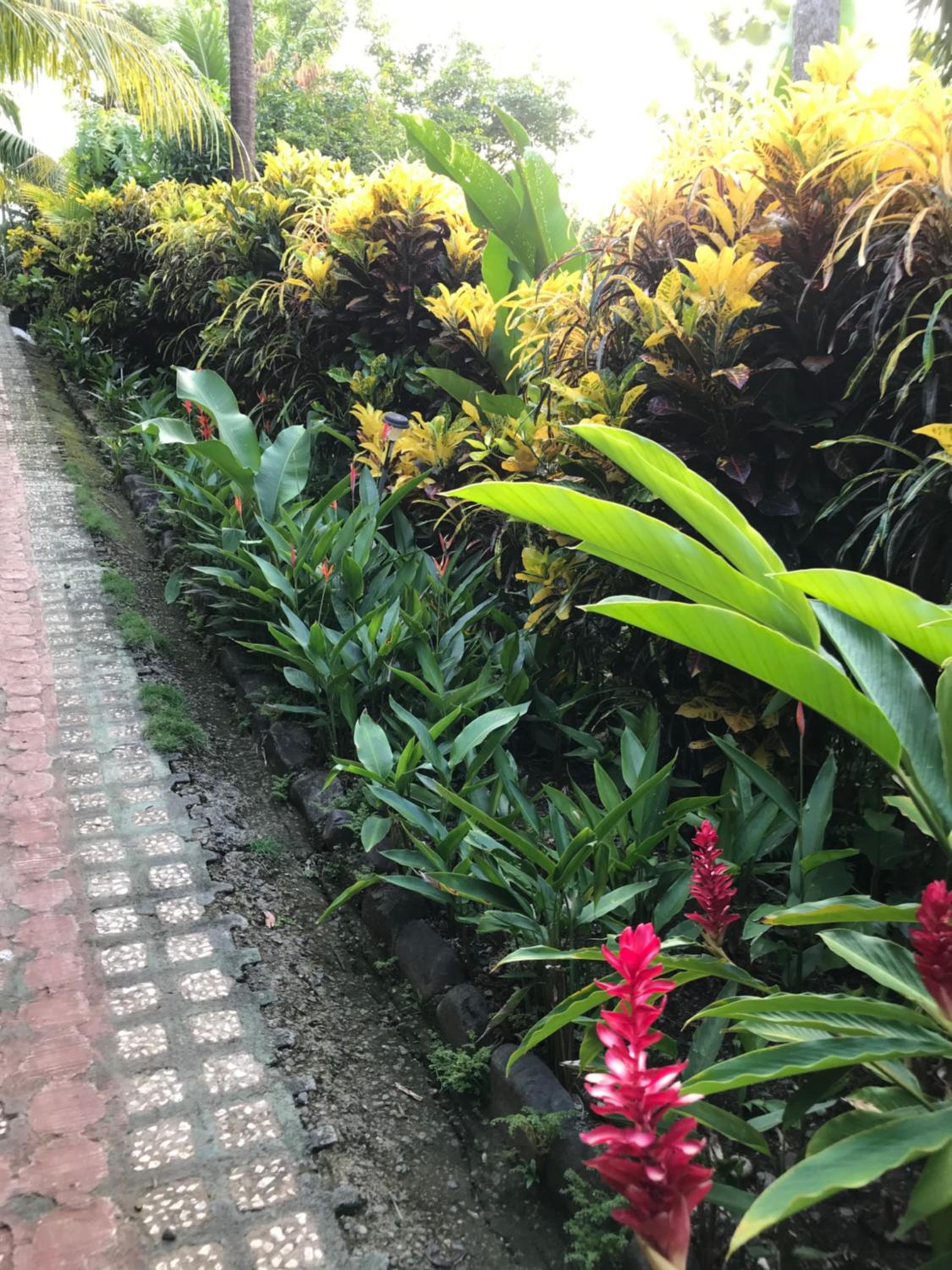 FLOR DE PARAISO BUNGALOWS