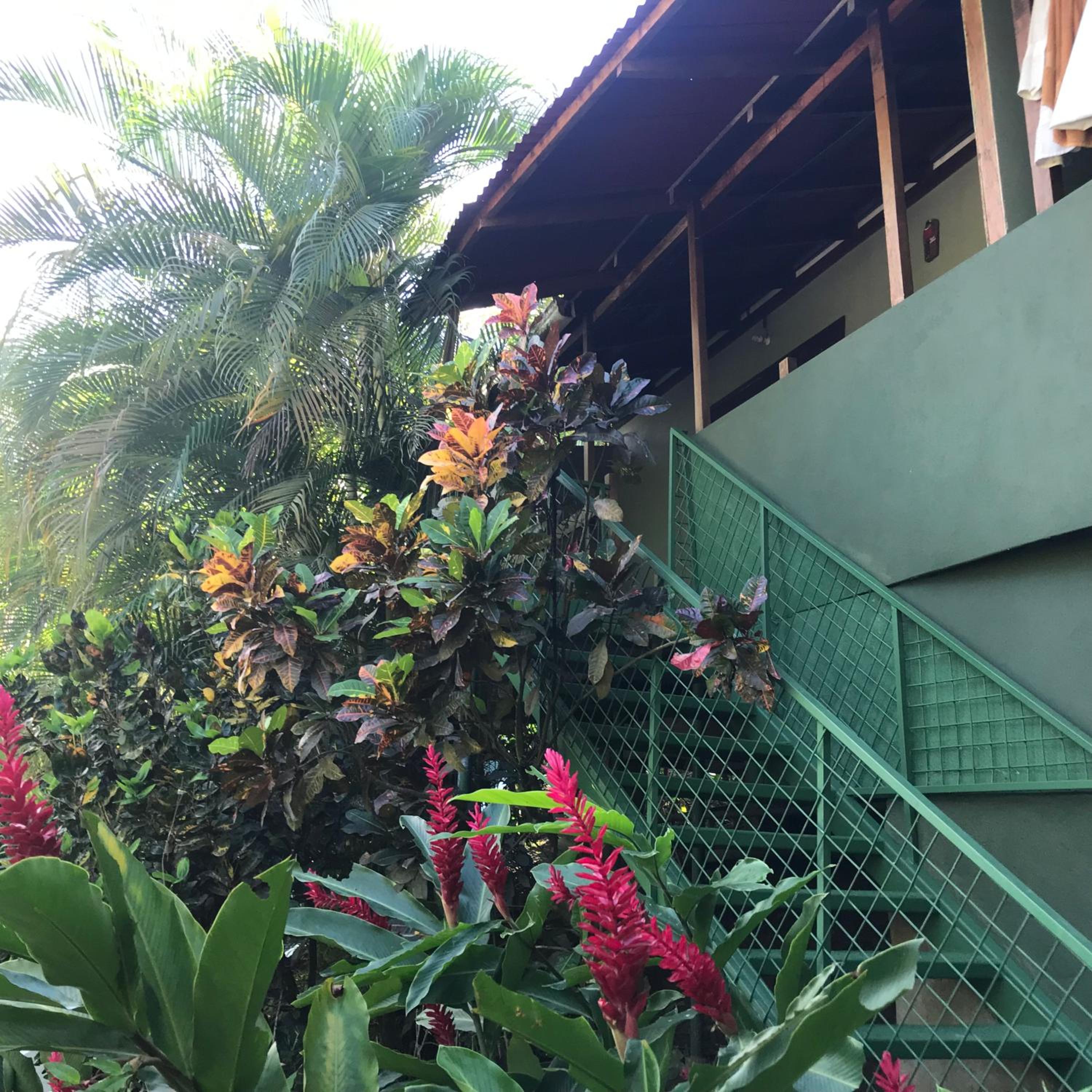 FLOR DE PARAISO BUNGALOWS