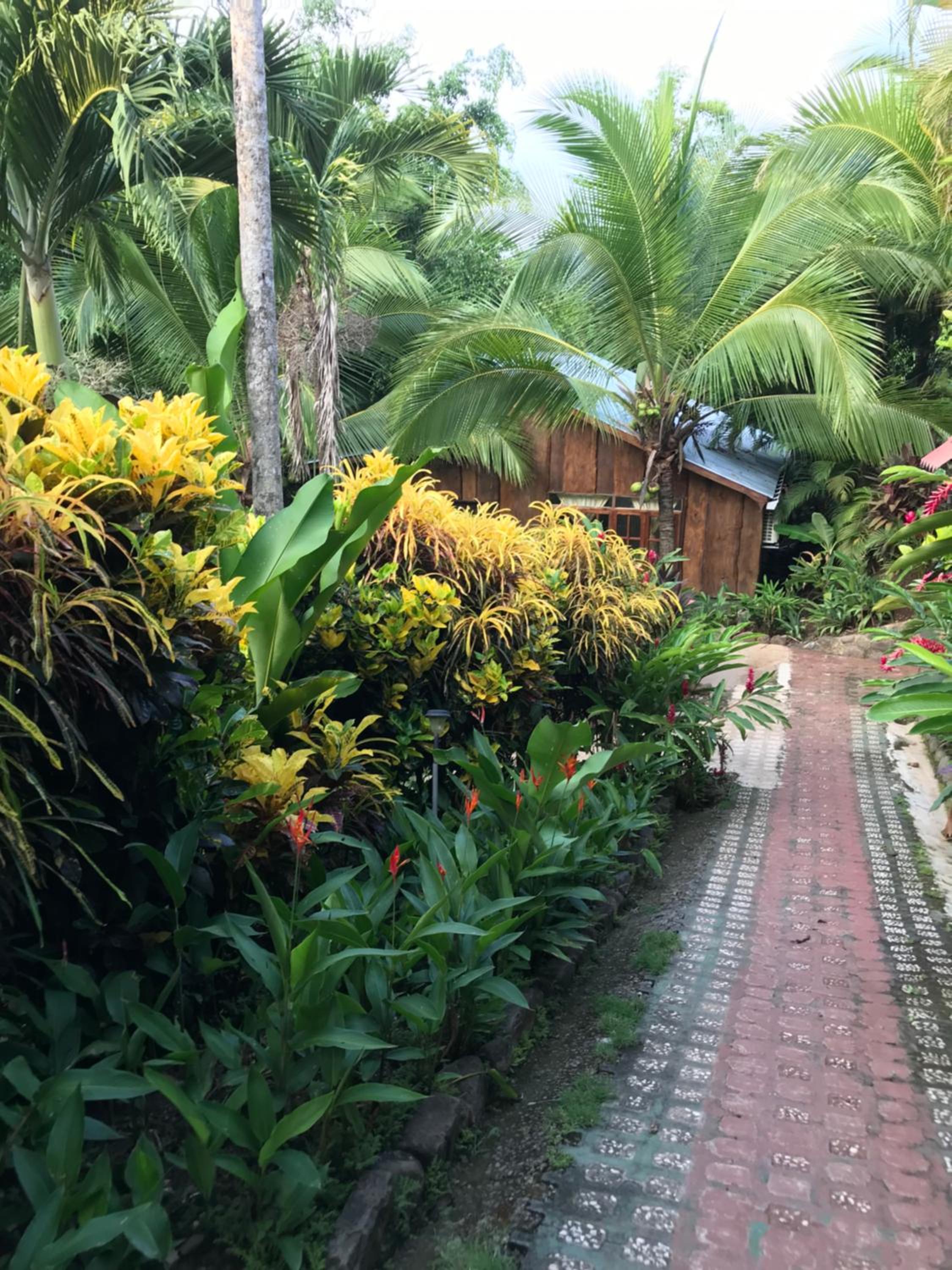 FLOR DE PARAISO BUNGALOWS