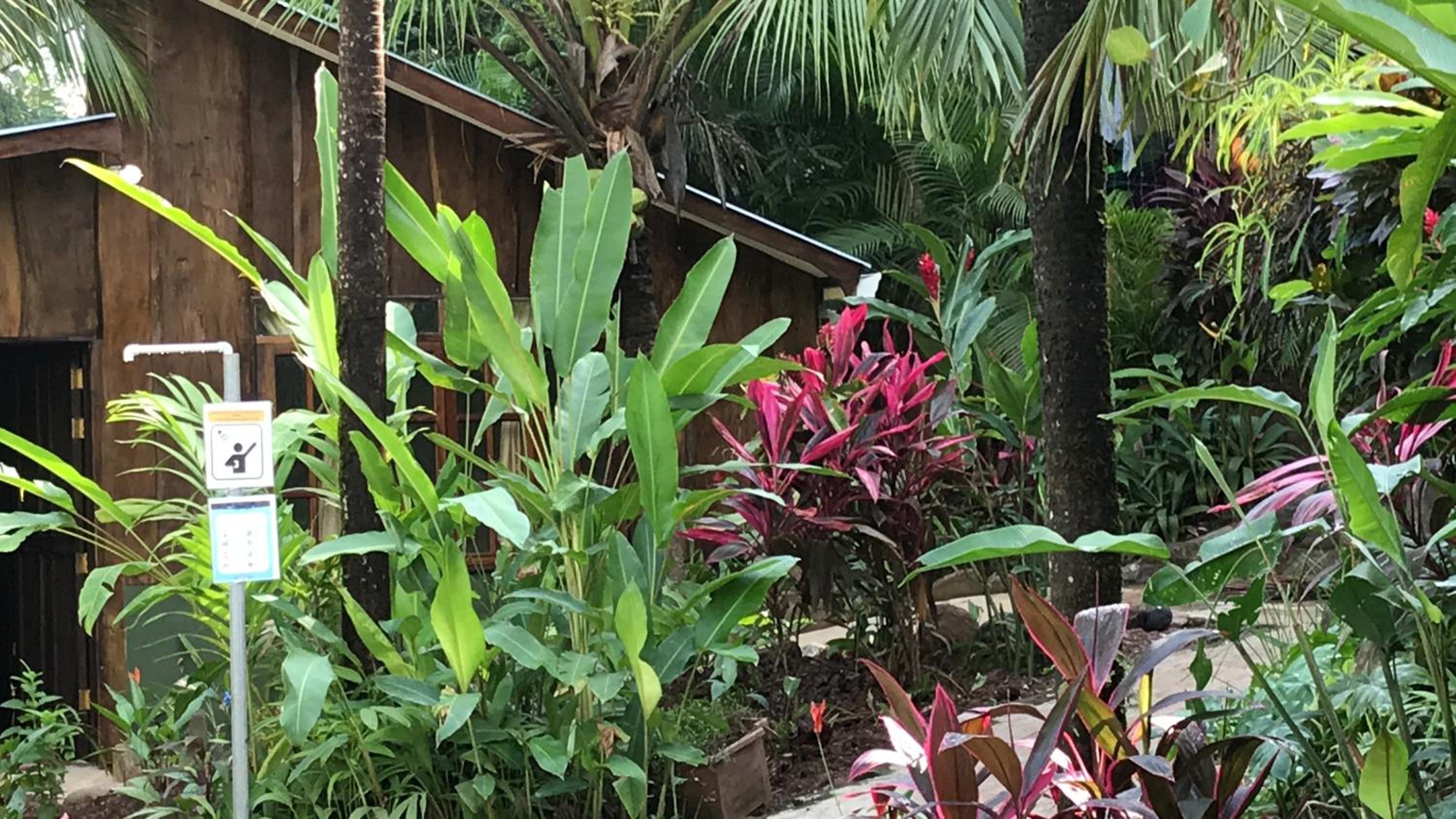FLOR DE PARAISO BUNGALOWS