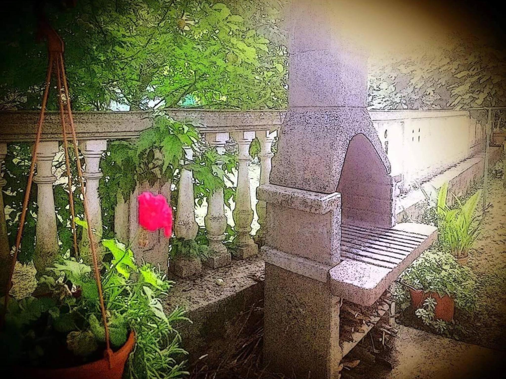 Photo 29