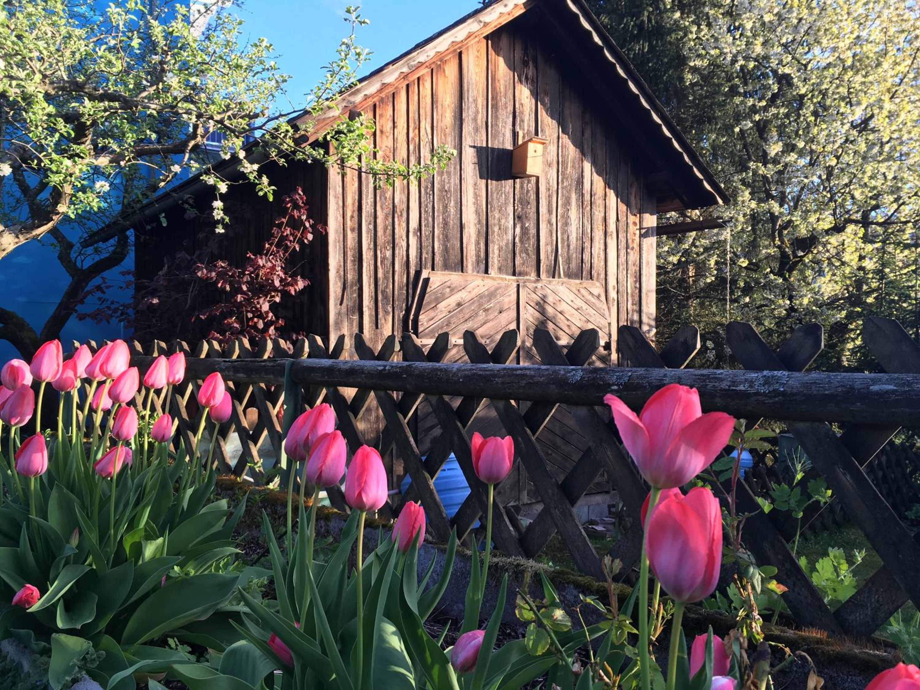 Haus Seerose