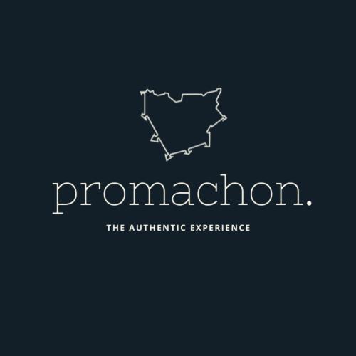 Promachon Villa photo 4