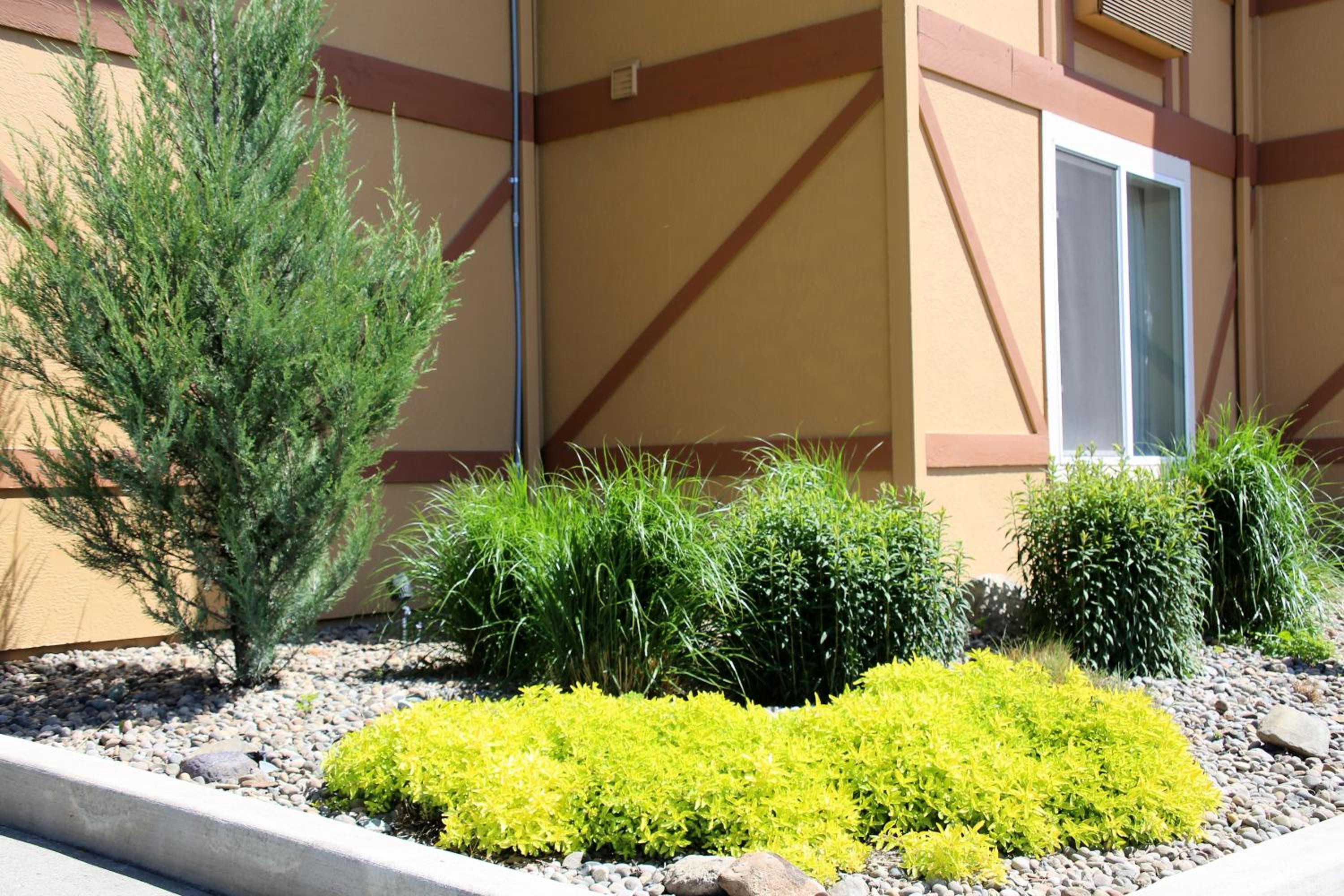 Ashland Vacations - Comfort Inn Suites Ashland - Property Image 6