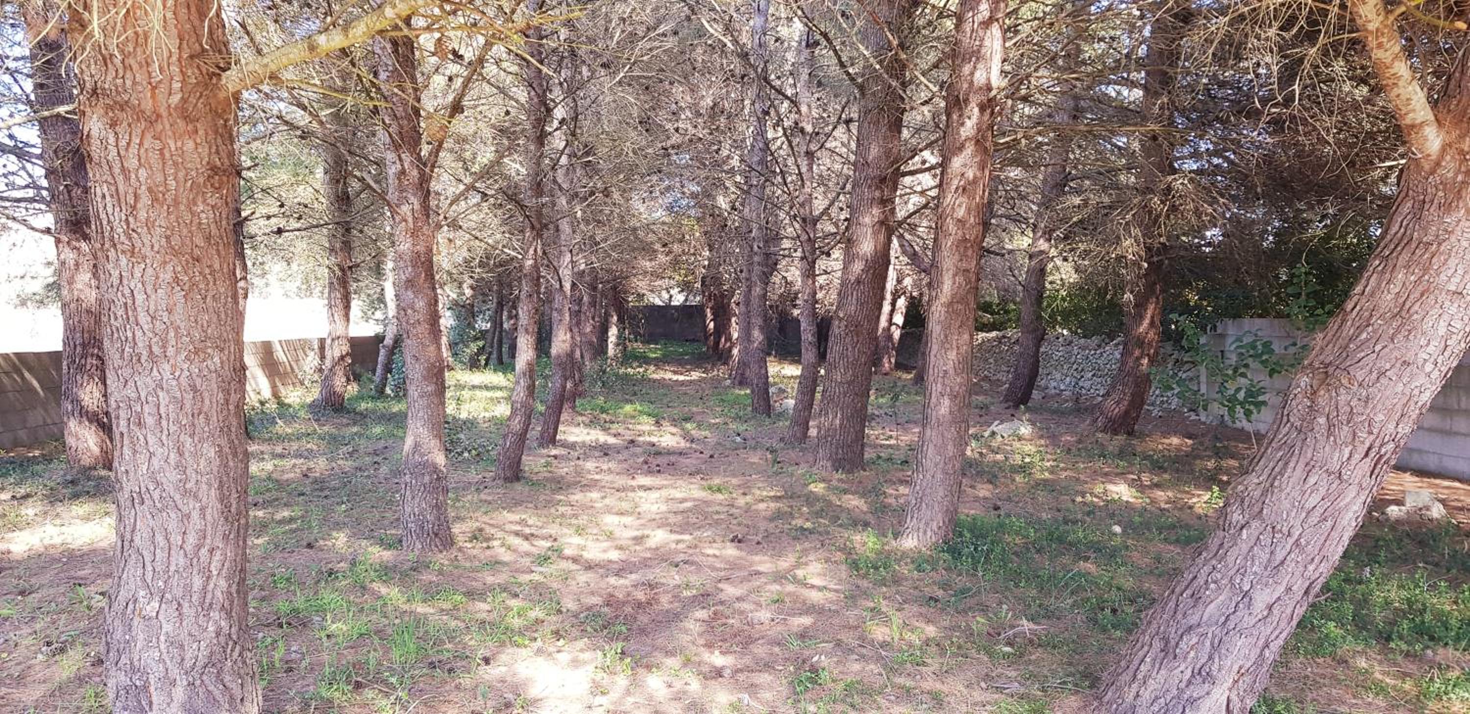 Photo 21