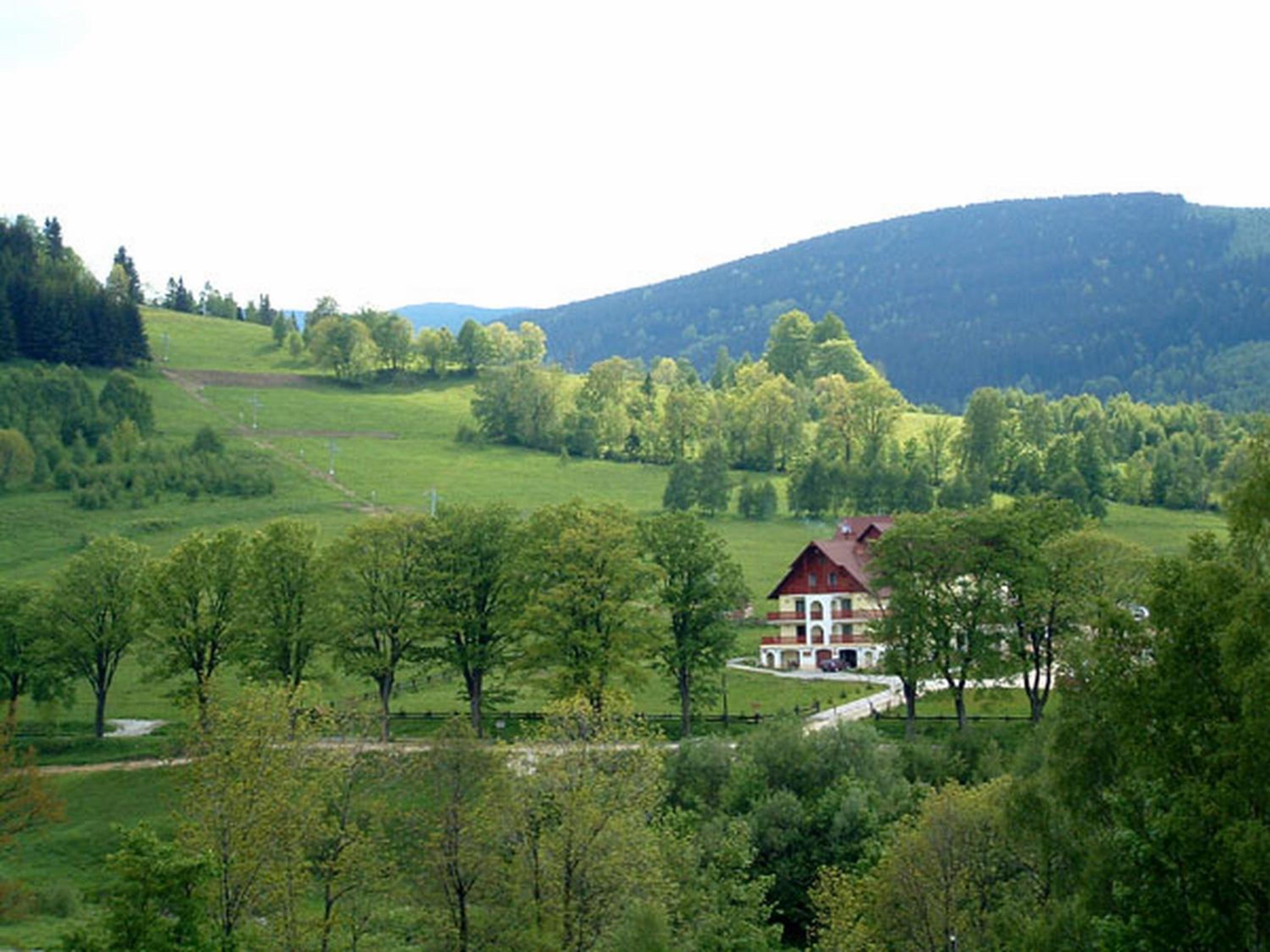 Photo 9
