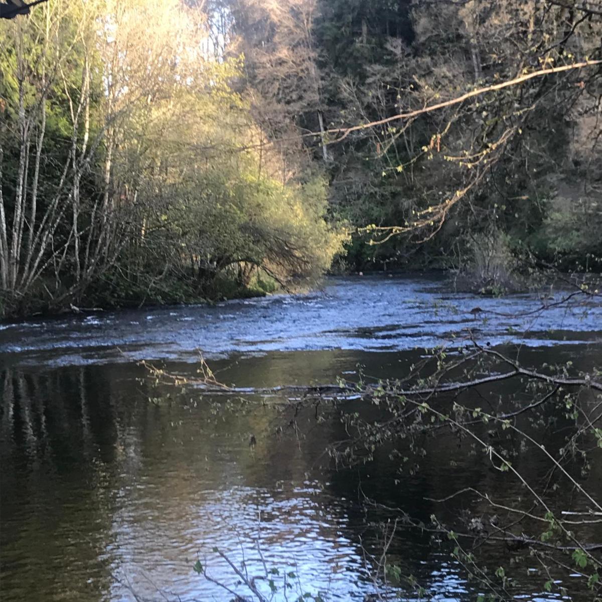 Tom’s Retreat view 3