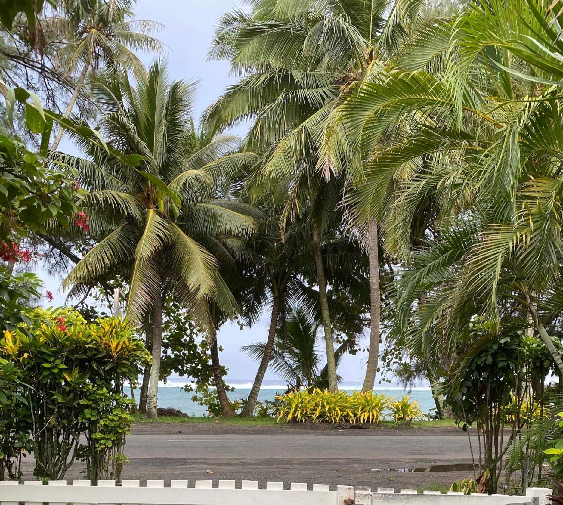 The Black Pearl Beachside Apartments