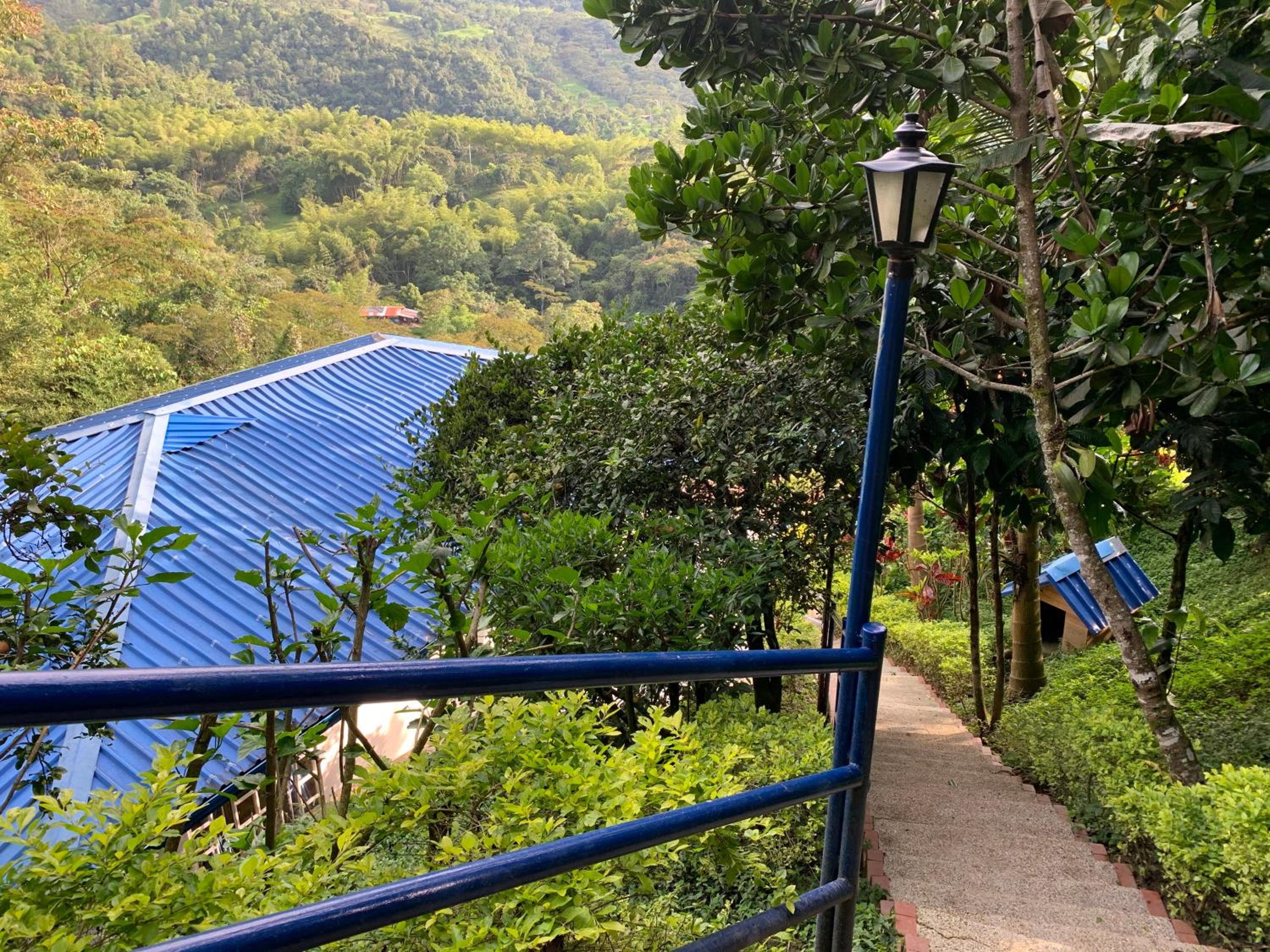 Finca Altamira view 5
