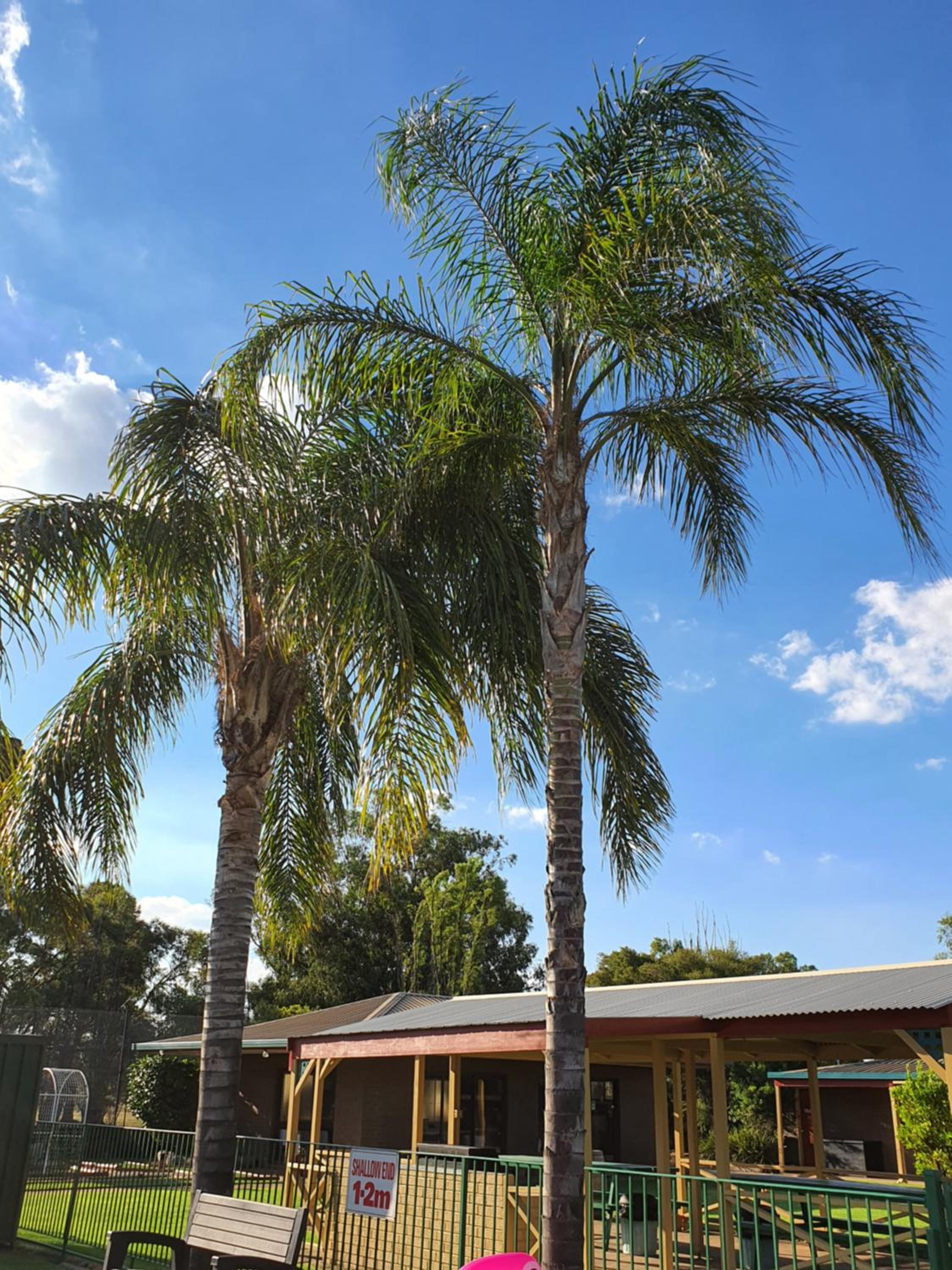 Barooga Country Inn Motel