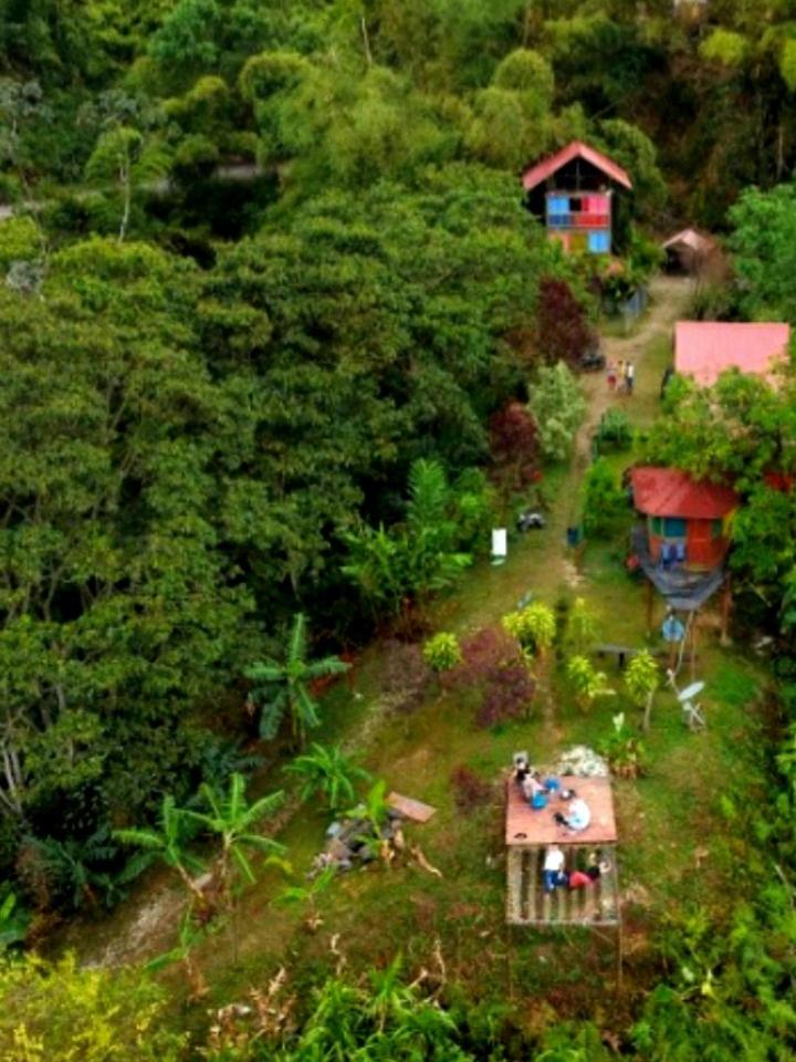 Miradores Del Oso Perezoso