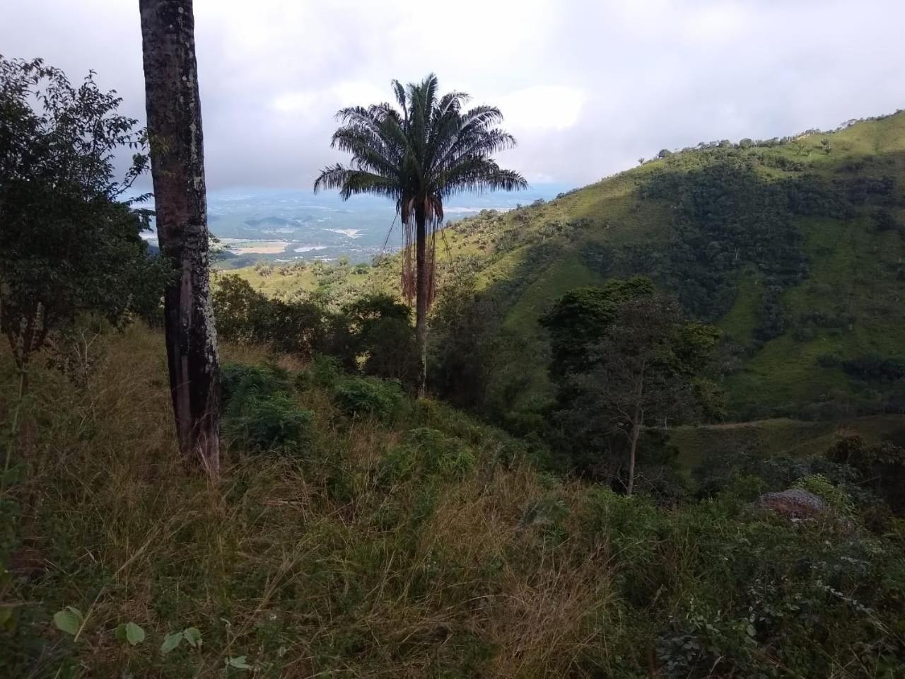 Finca Peñitas