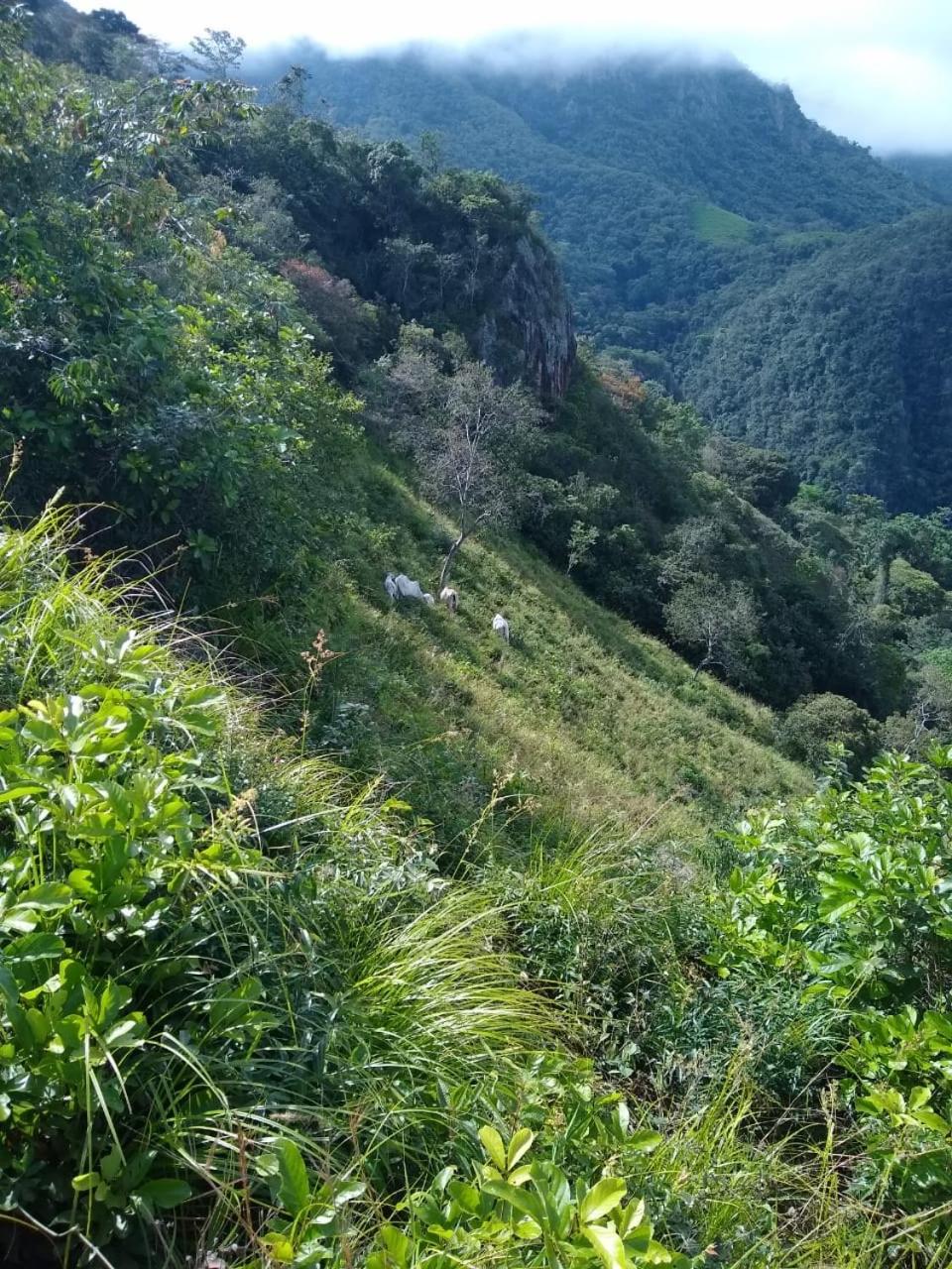 Finca Peñitas