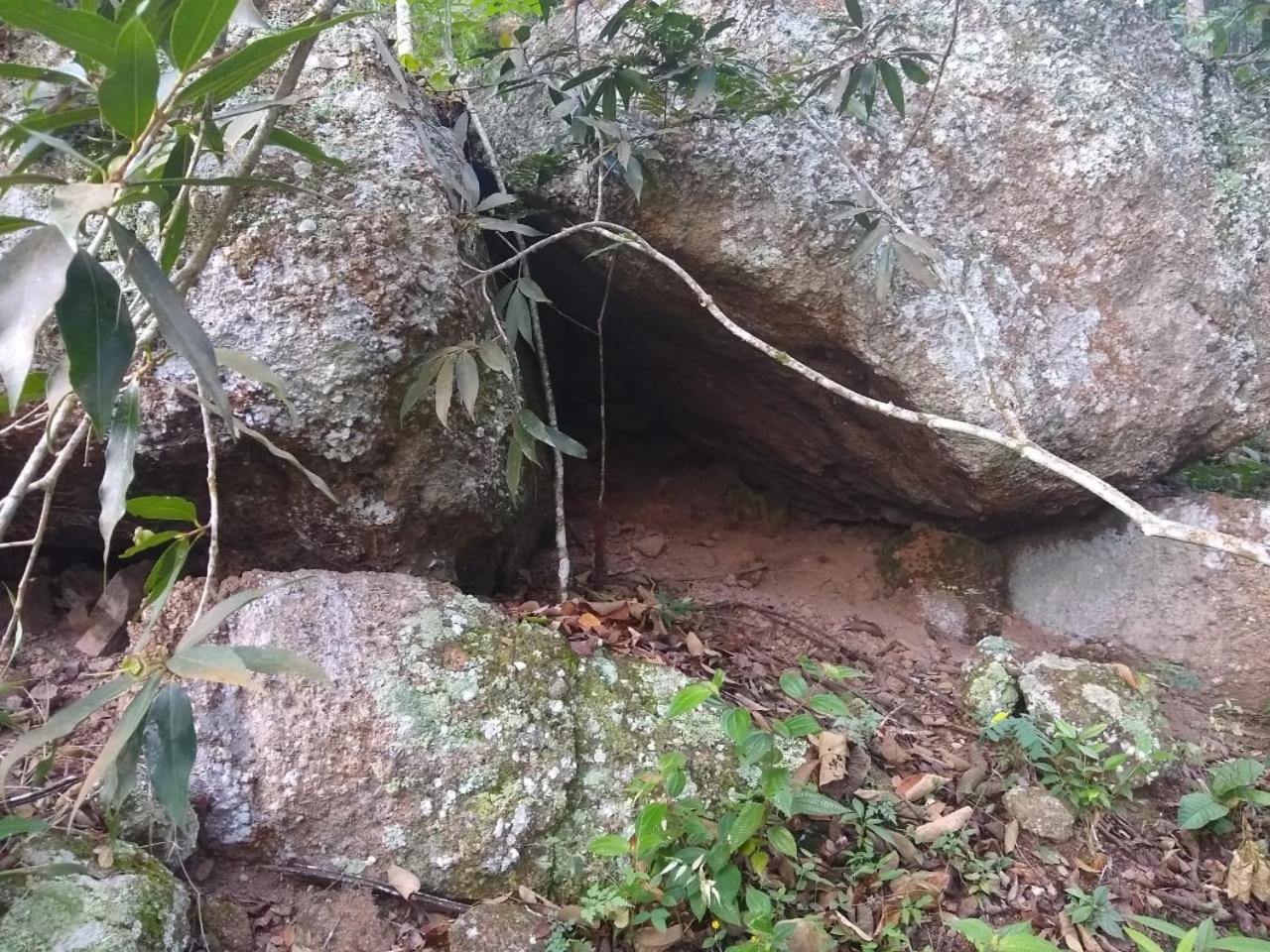Finca Peñitas